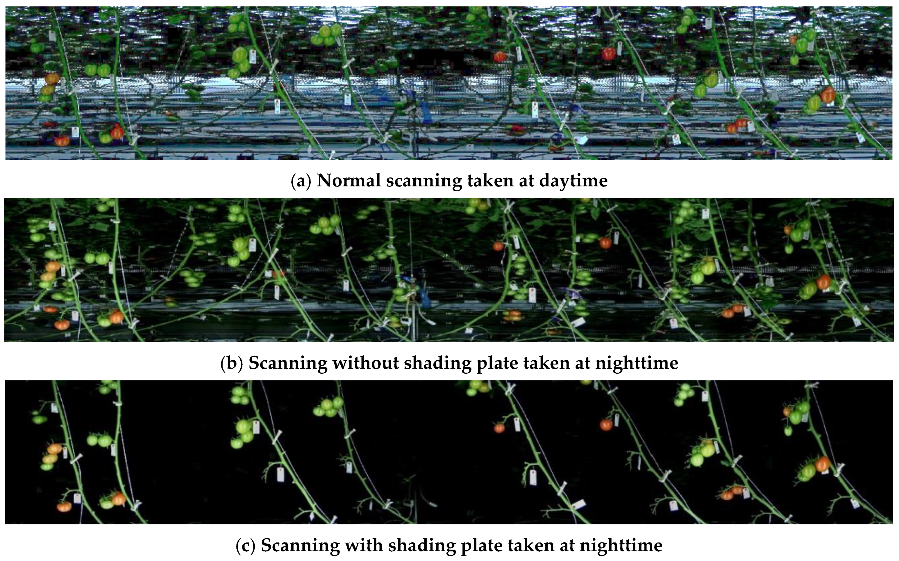 Agriengineering 06 00106 g003
