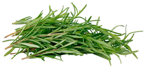 Agriengineering 06 00112 i001