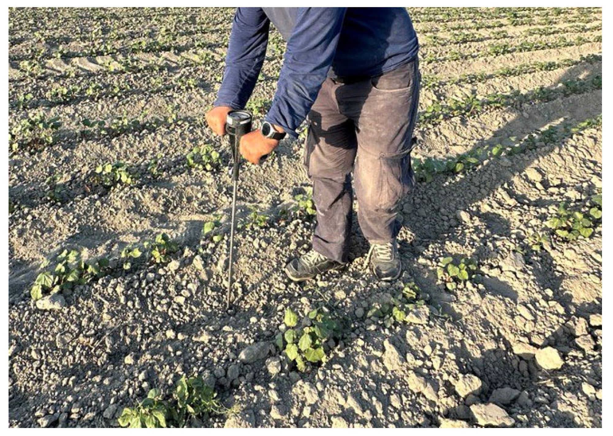 Agriengineering 06 00121 g005