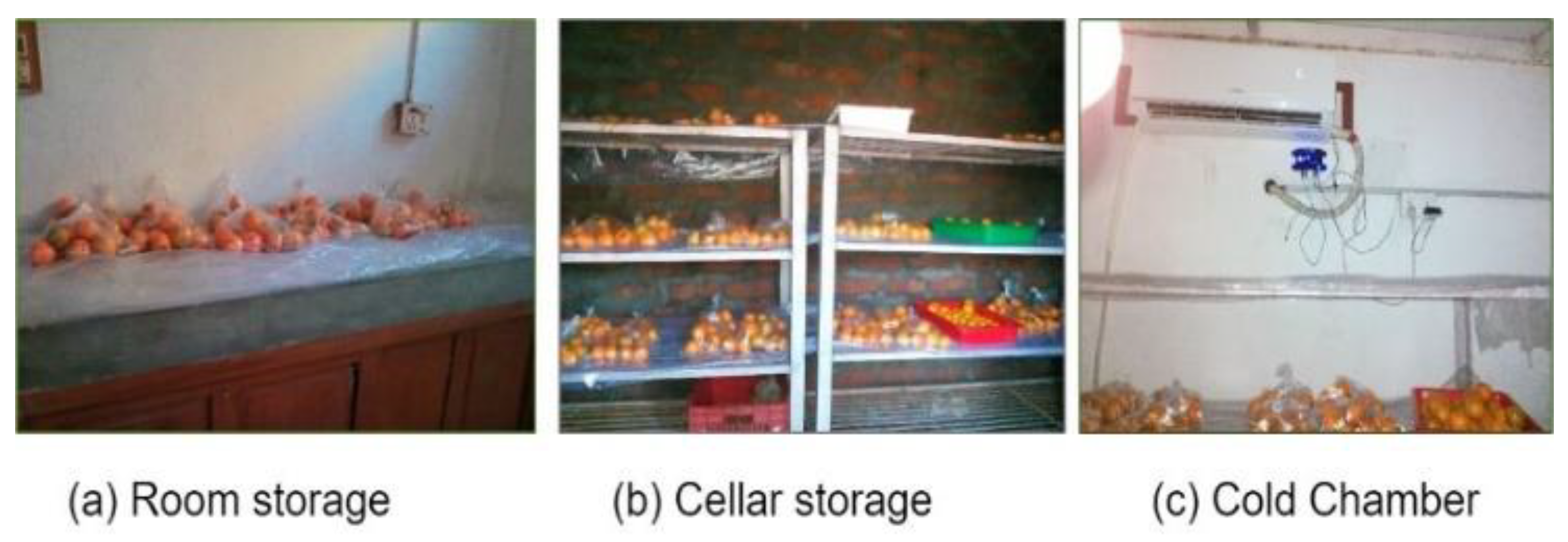 Agriengineering 06 00122 g002