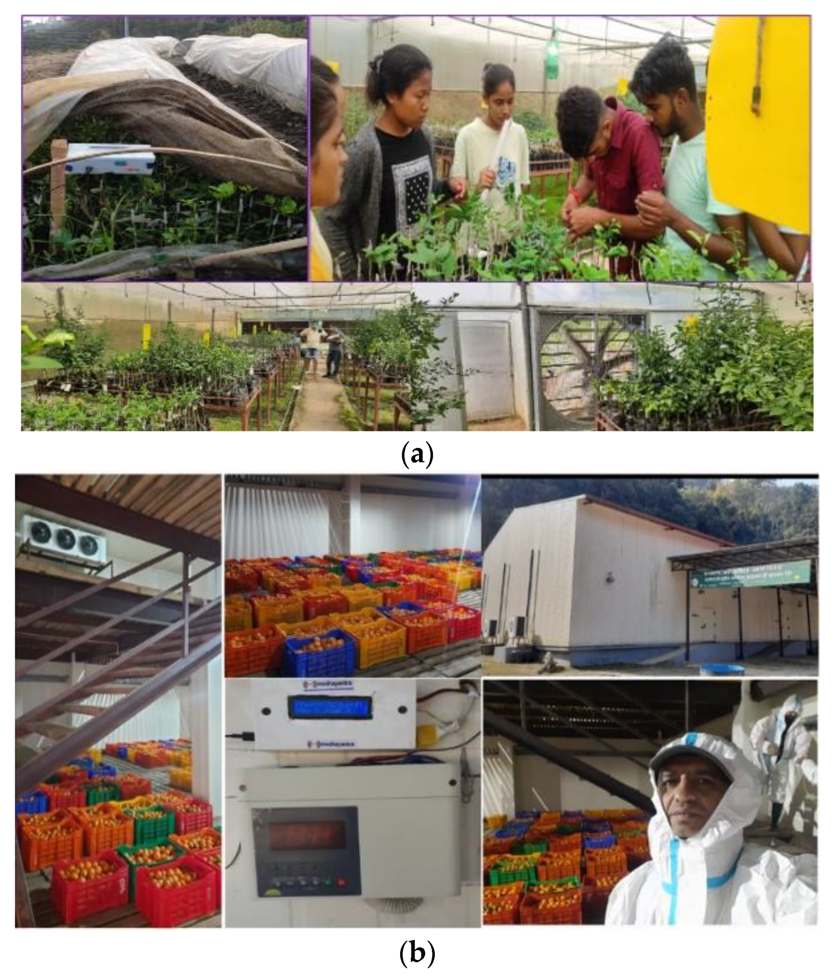 Agriengineering 06 00122 g004