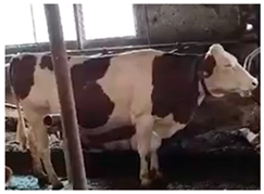 Agriengineering 06 00128 i002