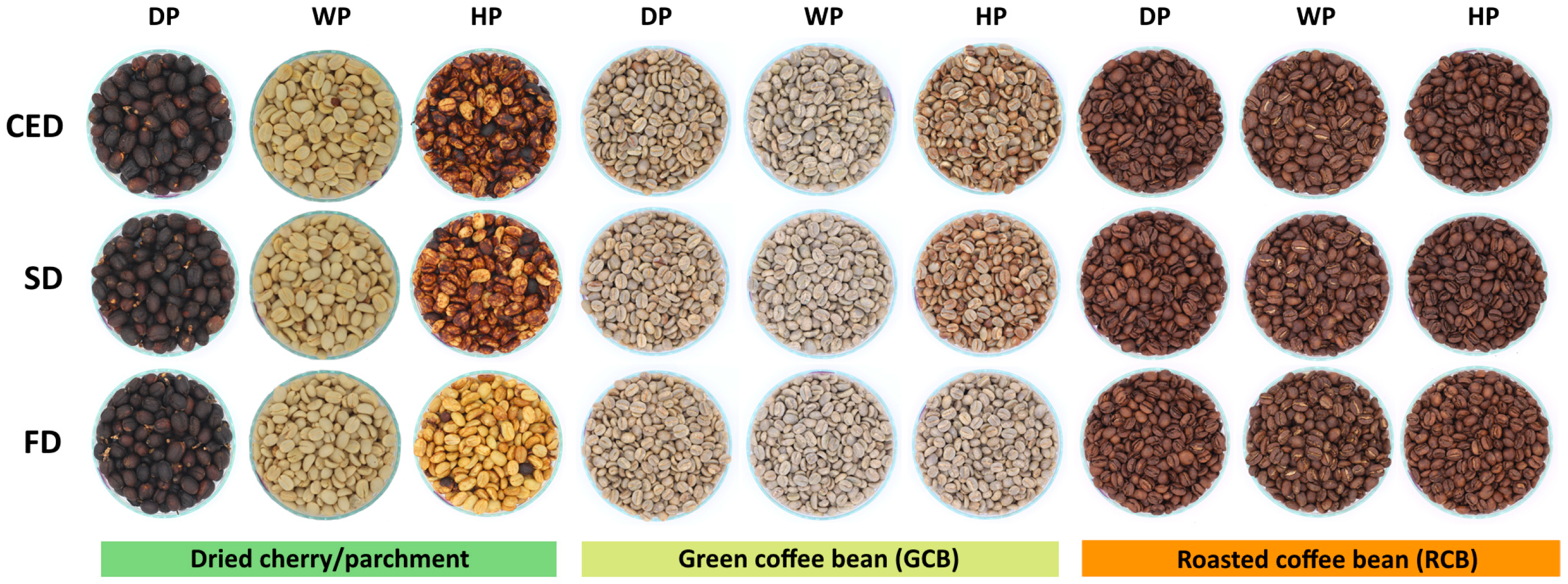 Agriengineering 06 00129 g002