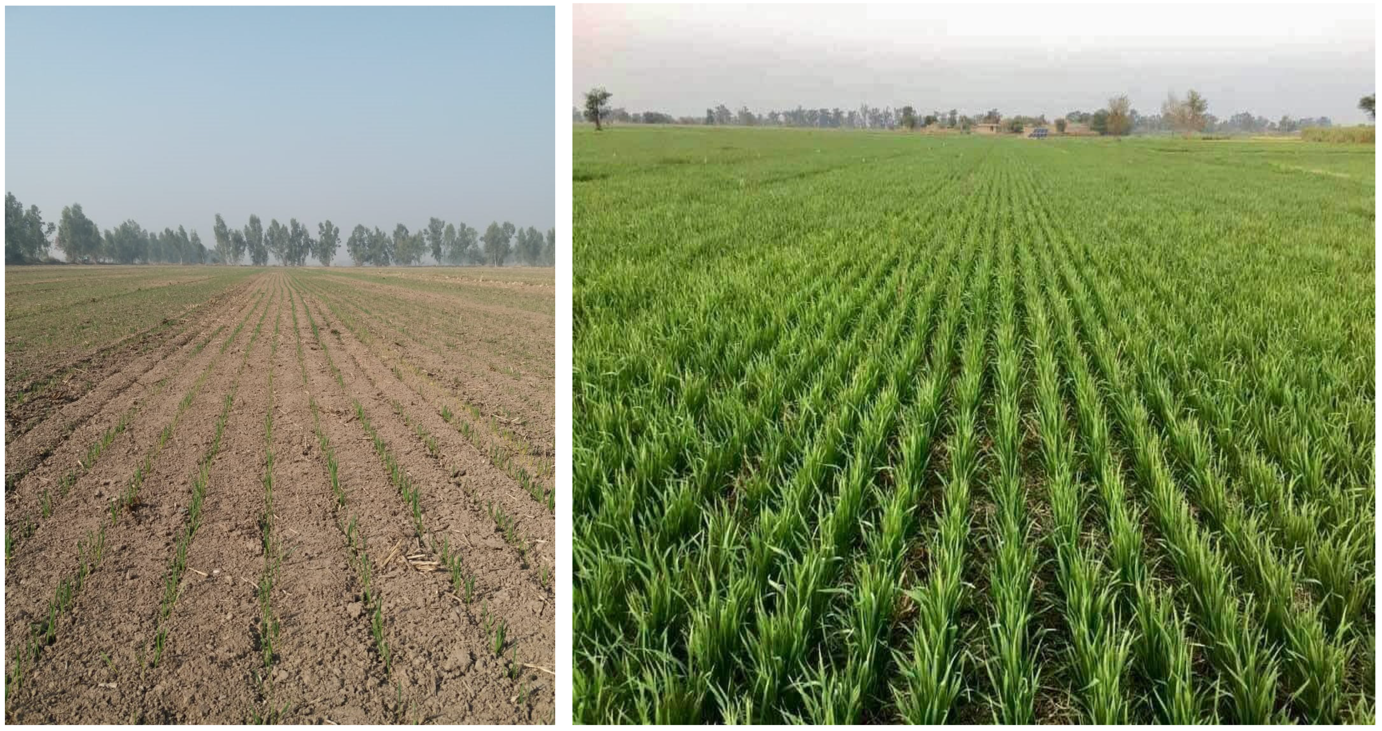 Agriengineering 06 00143 g013 Agriengineering 06 00143 g013