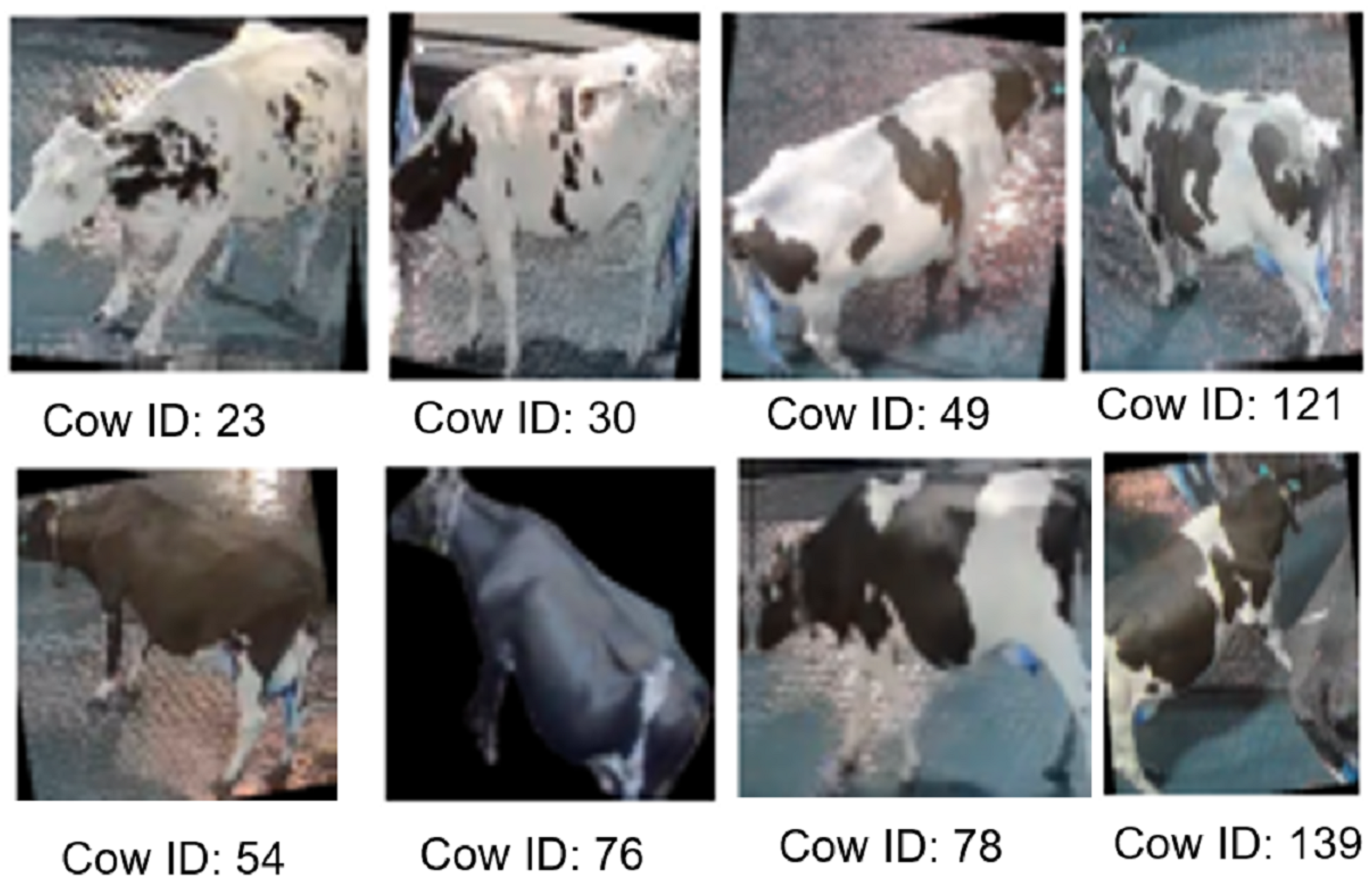 Agriengineering 06 00155 g011