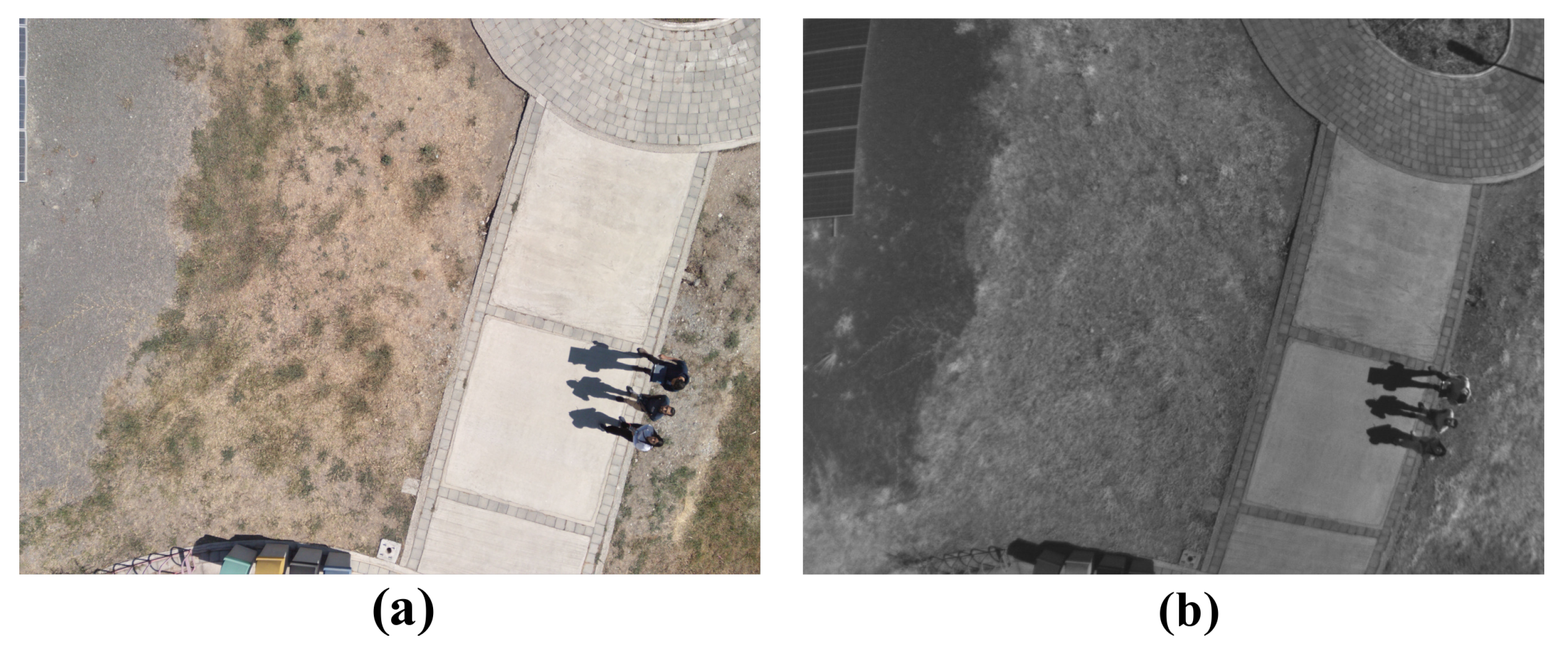 Agriengineering 06 00161 g015