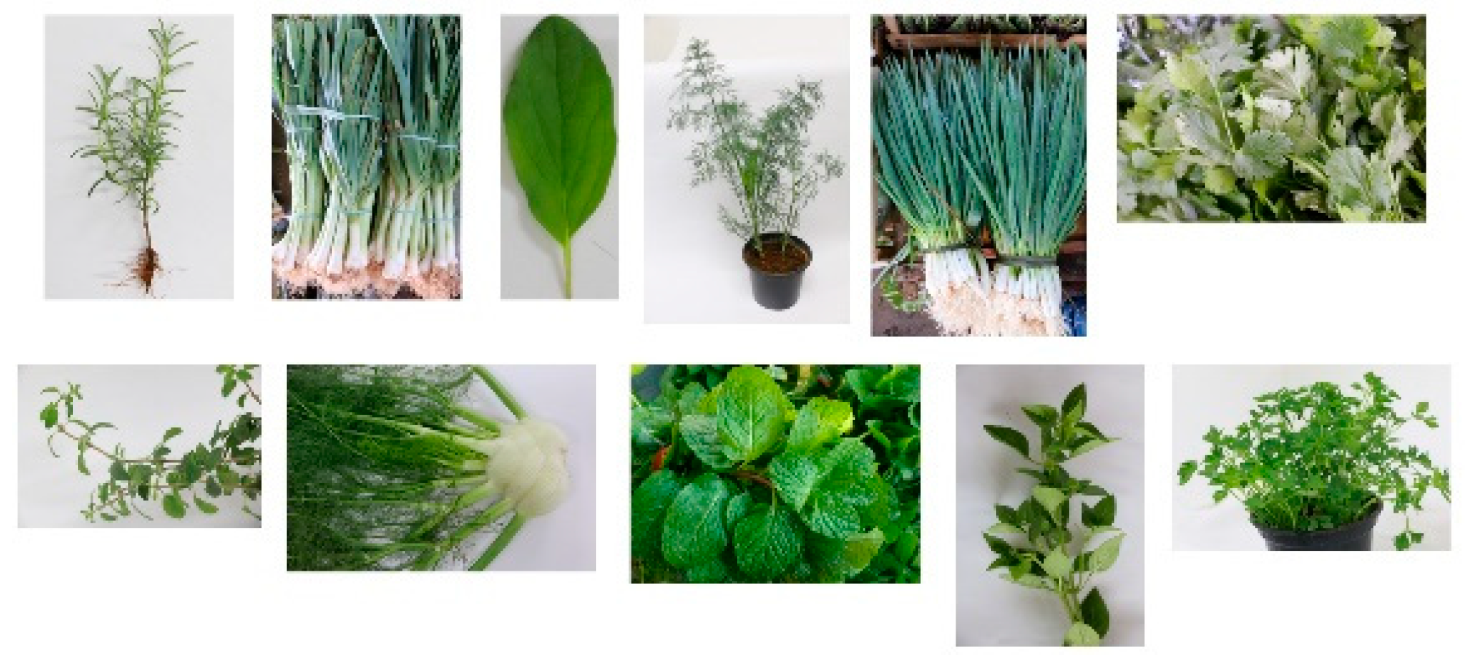 Agriengineering 06 00164 g006