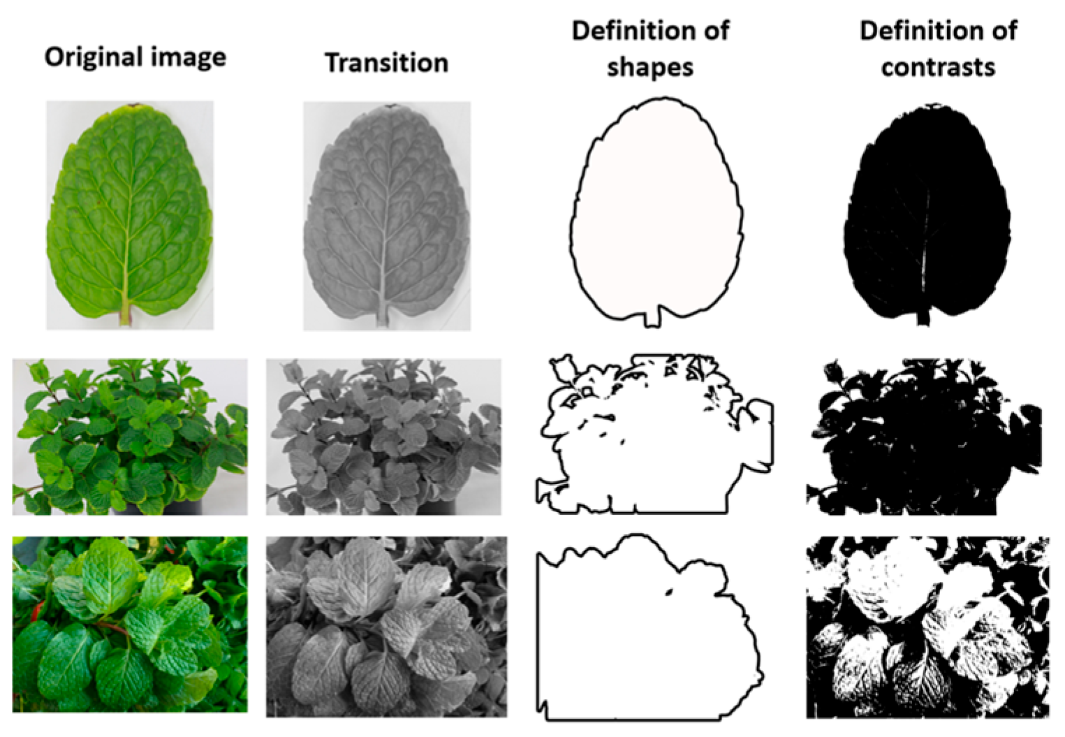 Agriengineering 06 00164 g007