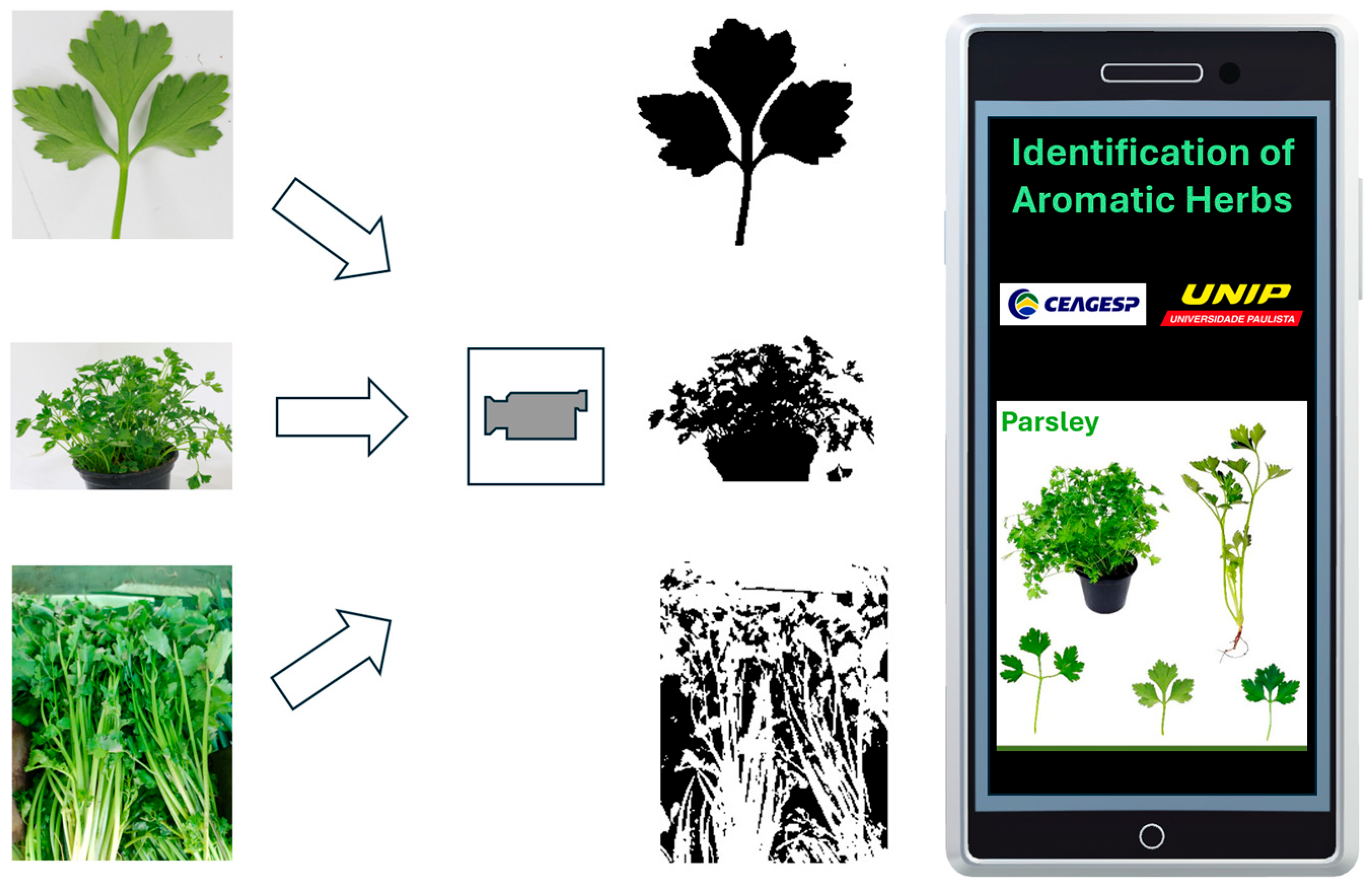 Agriengineering 06 00164 g009