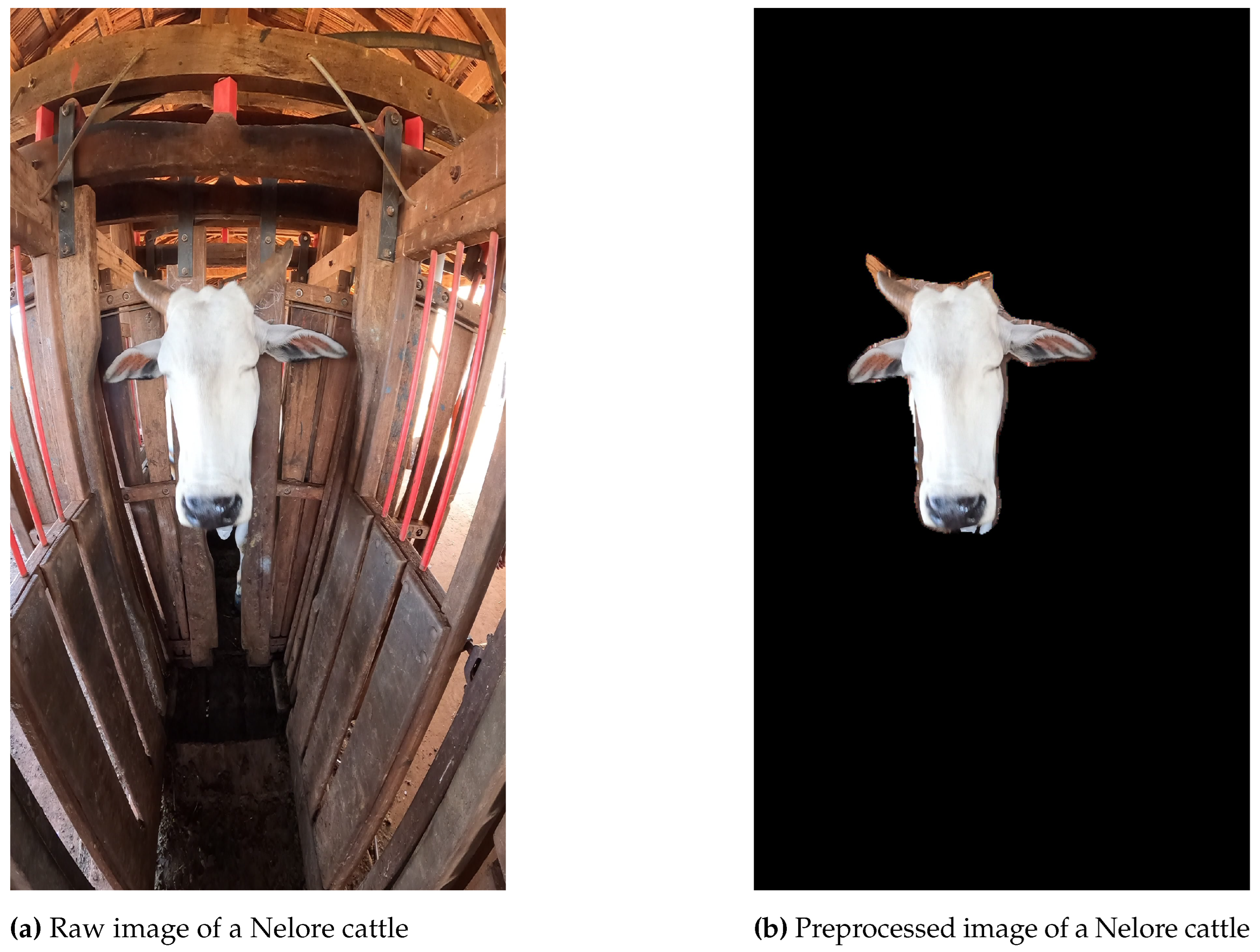 Agriengineering 06 00169 g001