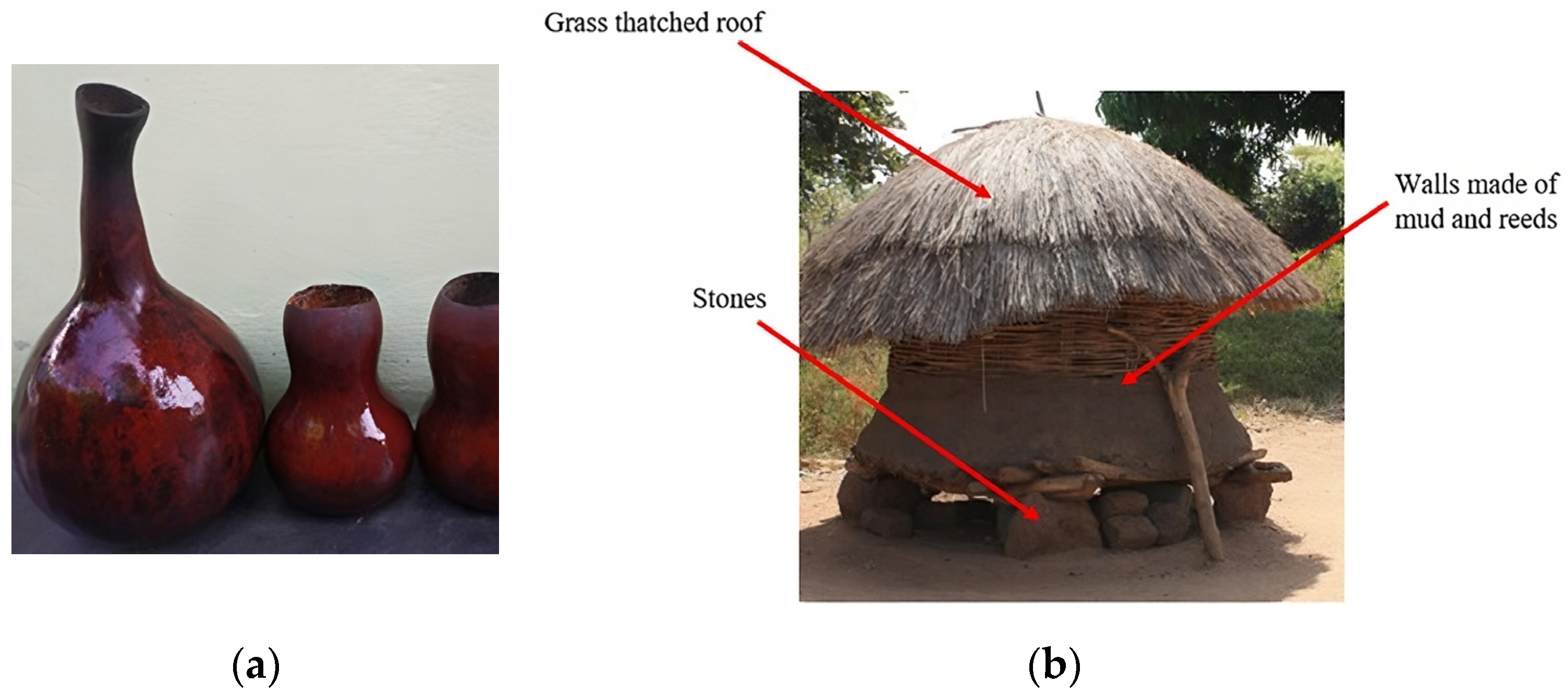 Agriengineering 06 00174 g006