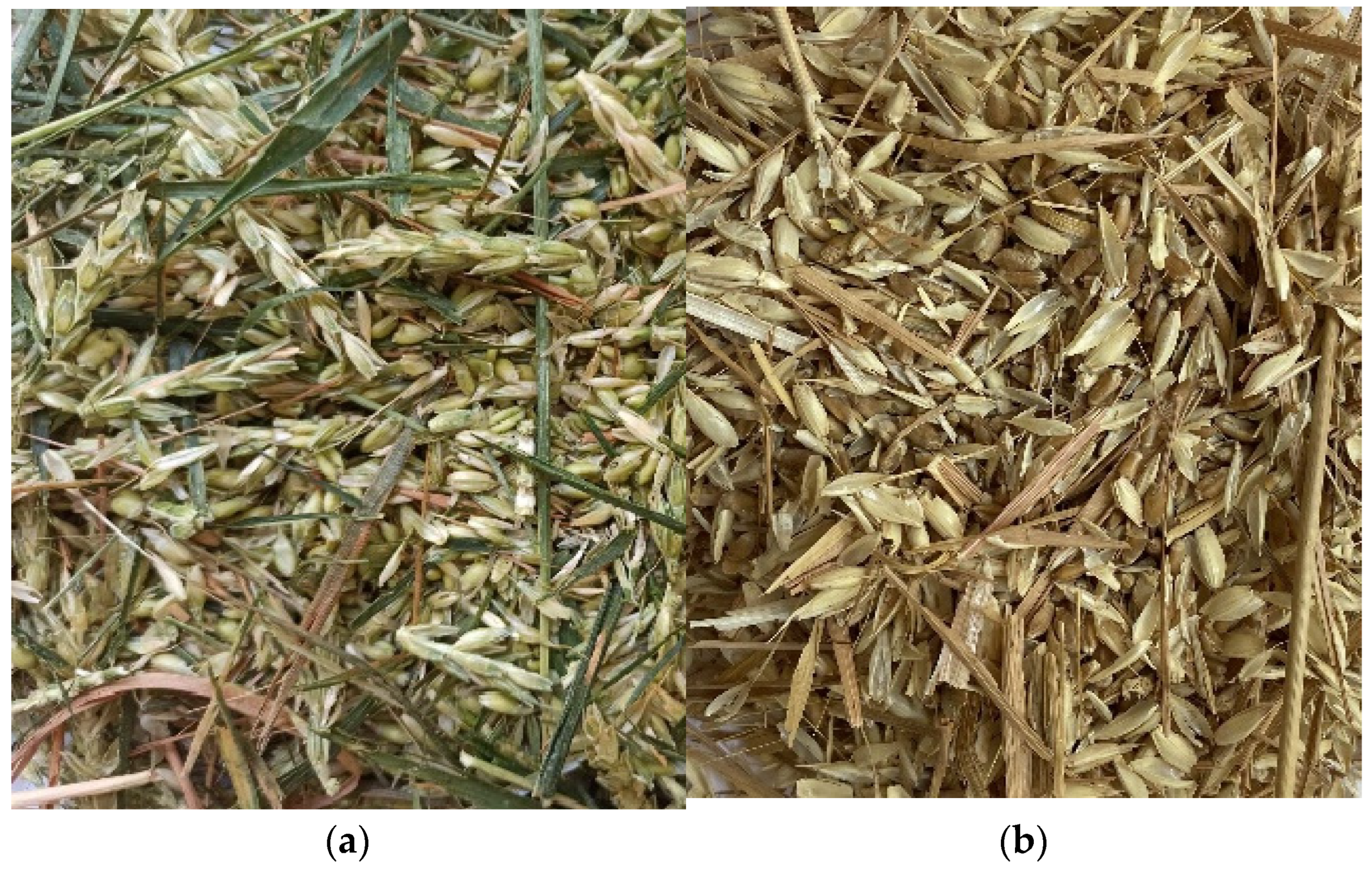 Agriengineering 06 00180 g010