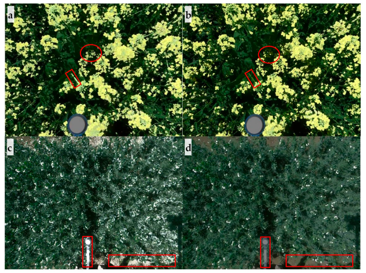 Agriengineering 06 00193 g003