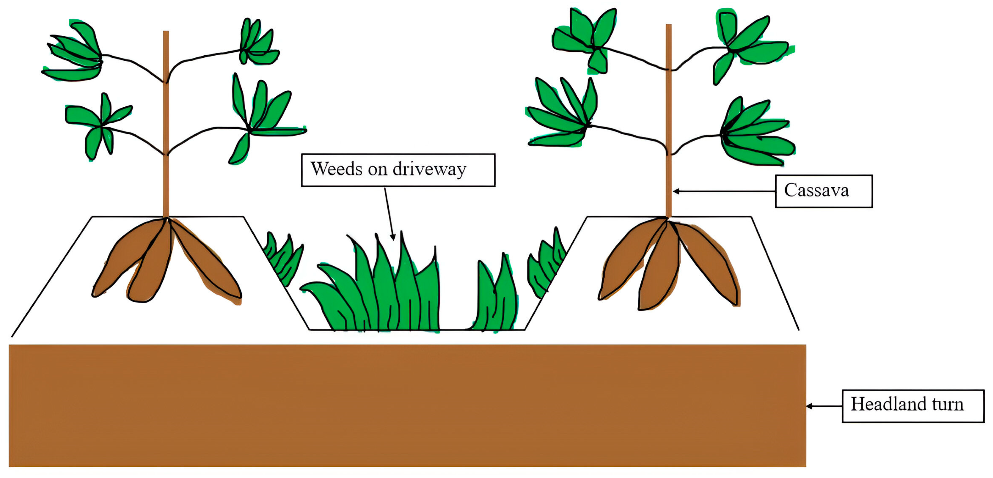 Agriengineering 06 00194 g001 Agriengineering 06 00194 g001