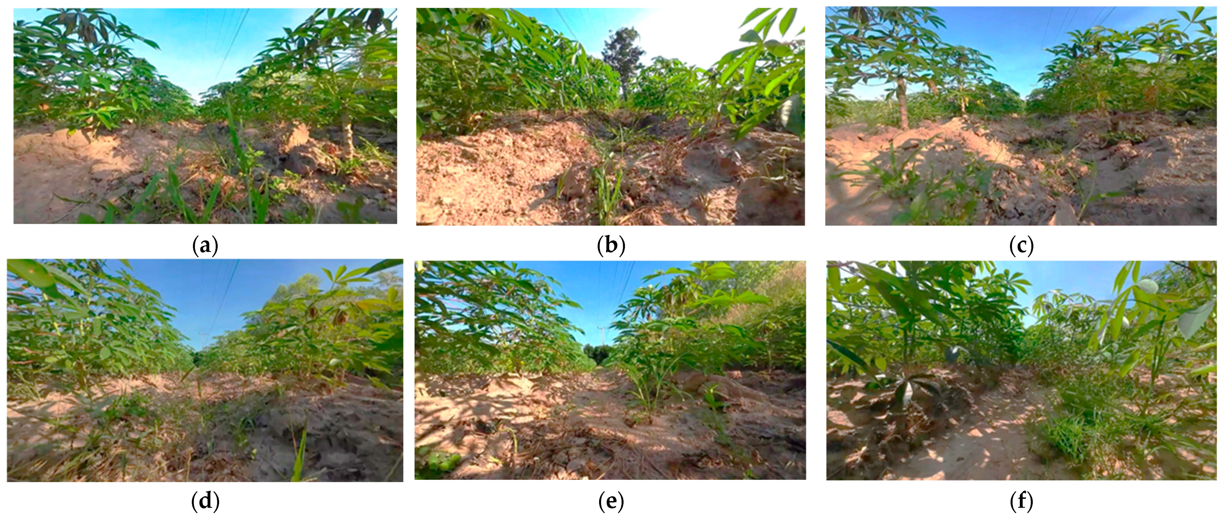 Agriengineering 06 00194 g002 Agriengineering 06 00194 g002