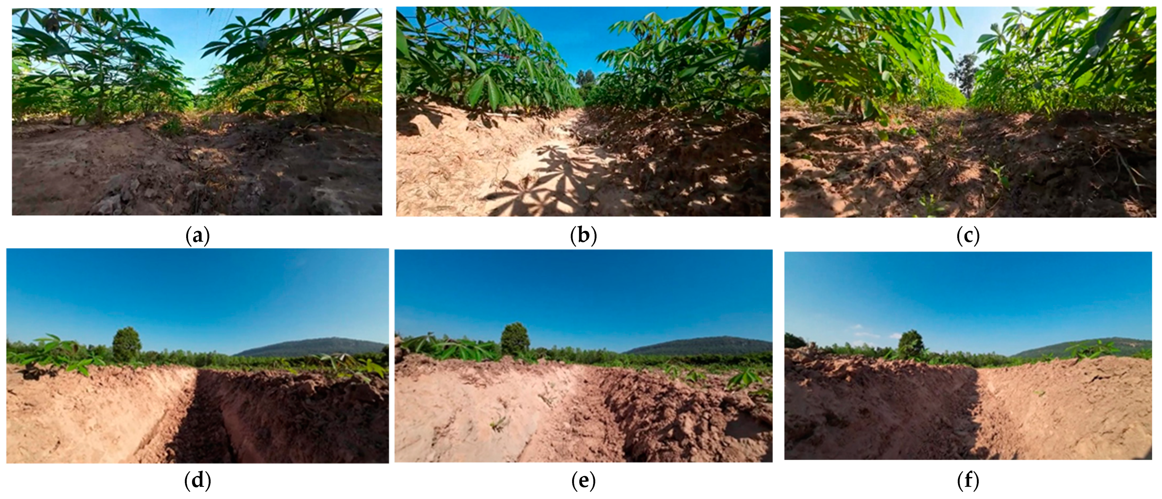 Agriengineering 06 00194 g004 Agriengineering 06 00194 g004