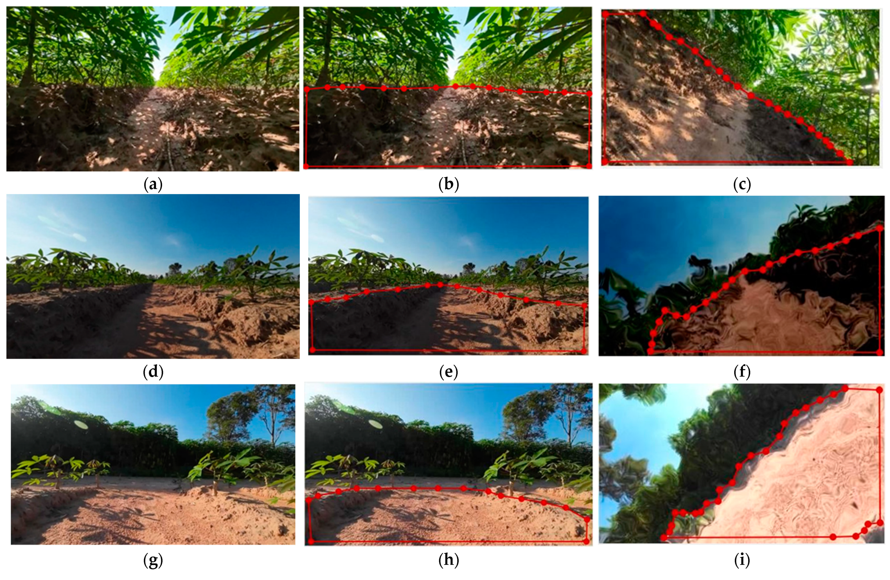 Agriengineering 06 00194 g005a Agriengineering 06 00194 g005a