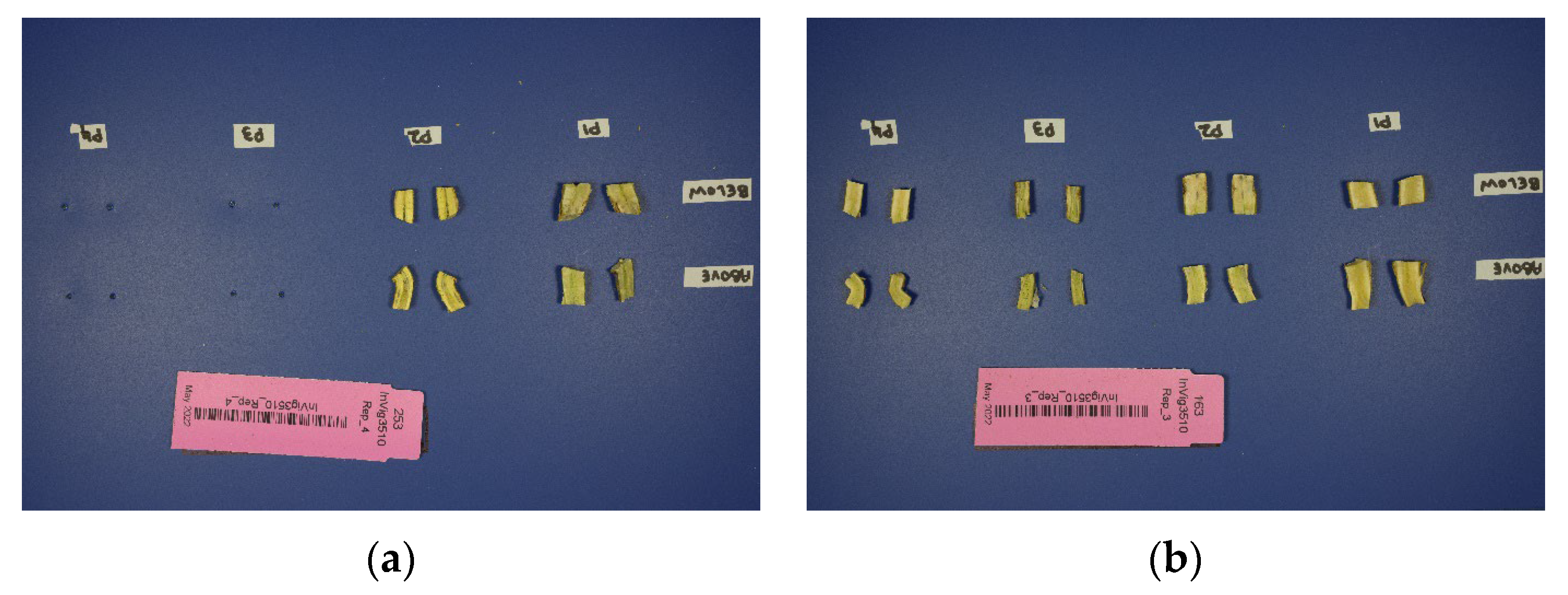 Agriengineering 06 00199 g008a