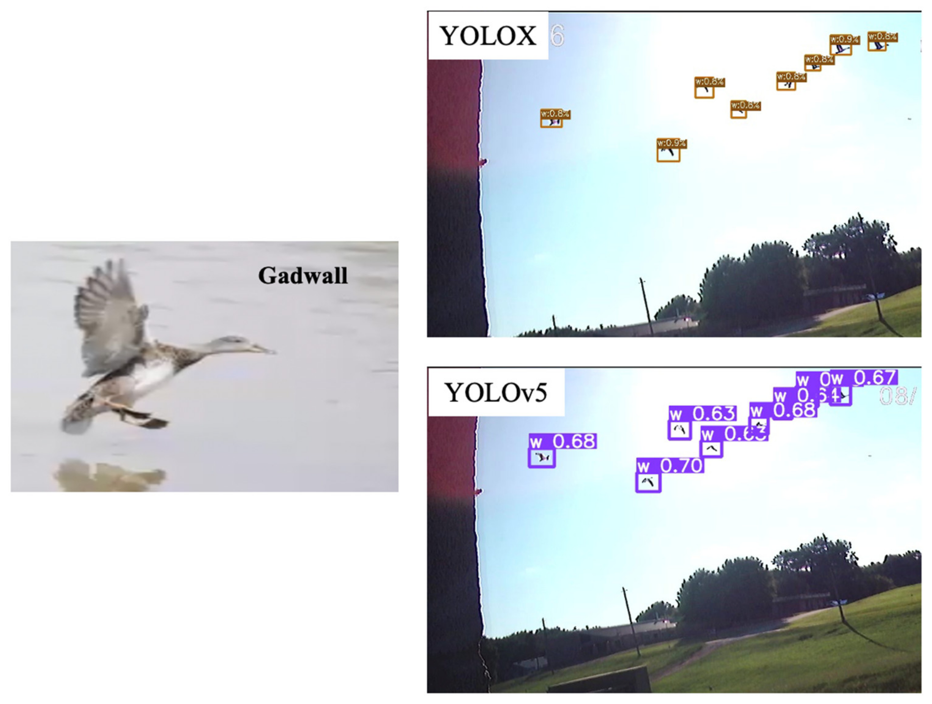 Agriengineering 06 00211 g006