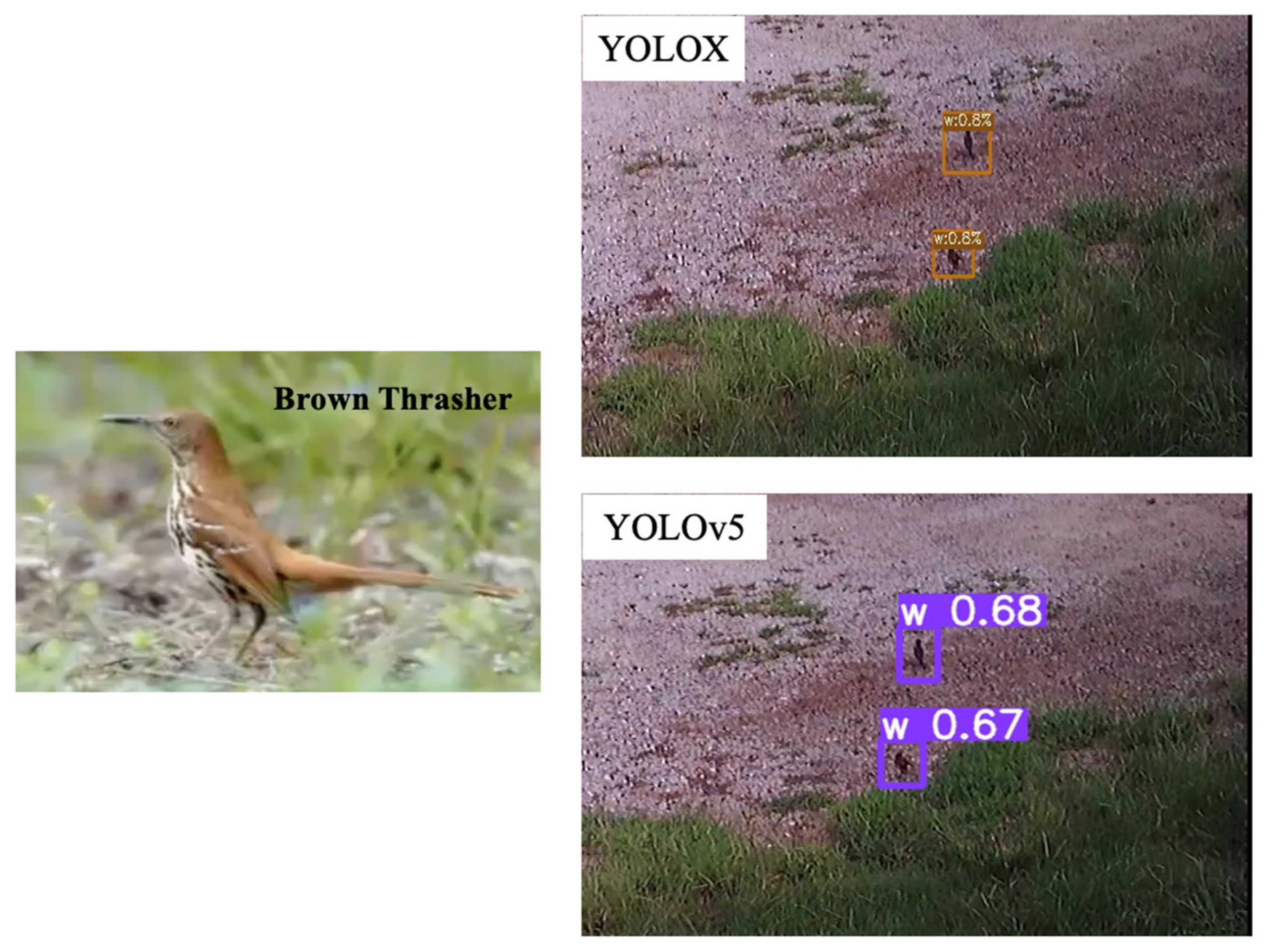 Agriengineering 06 00211 g007