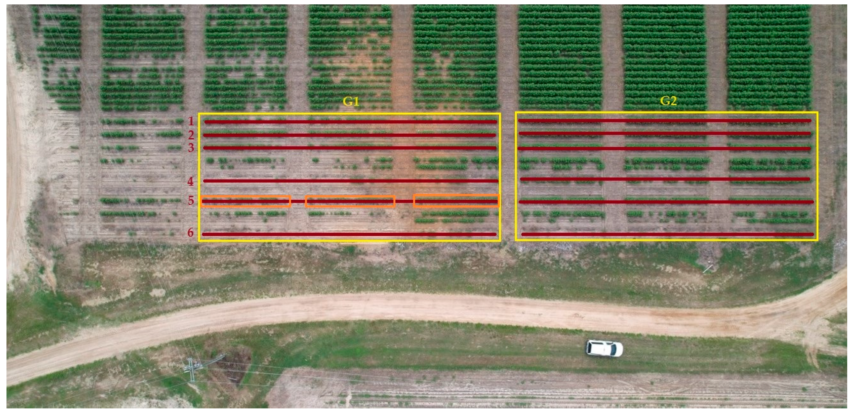 Agriengineering 06 00212 g002