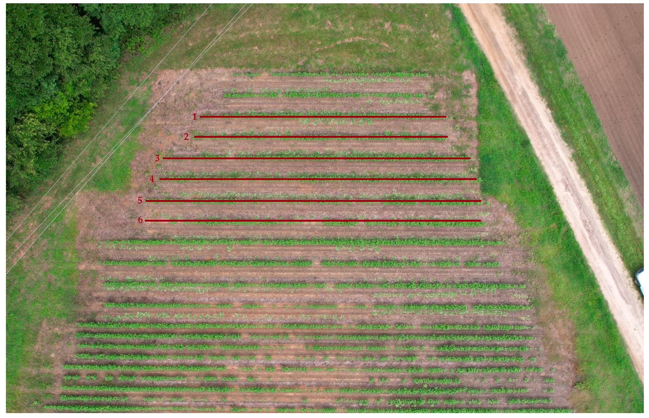 Agriengineering 06 00212 g003