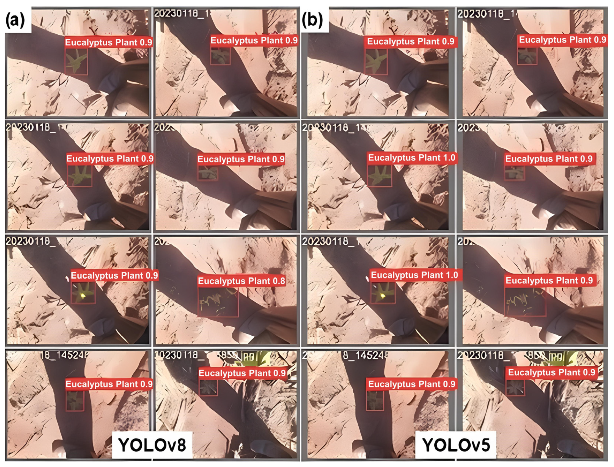 Agriengineering 06 00214 g006