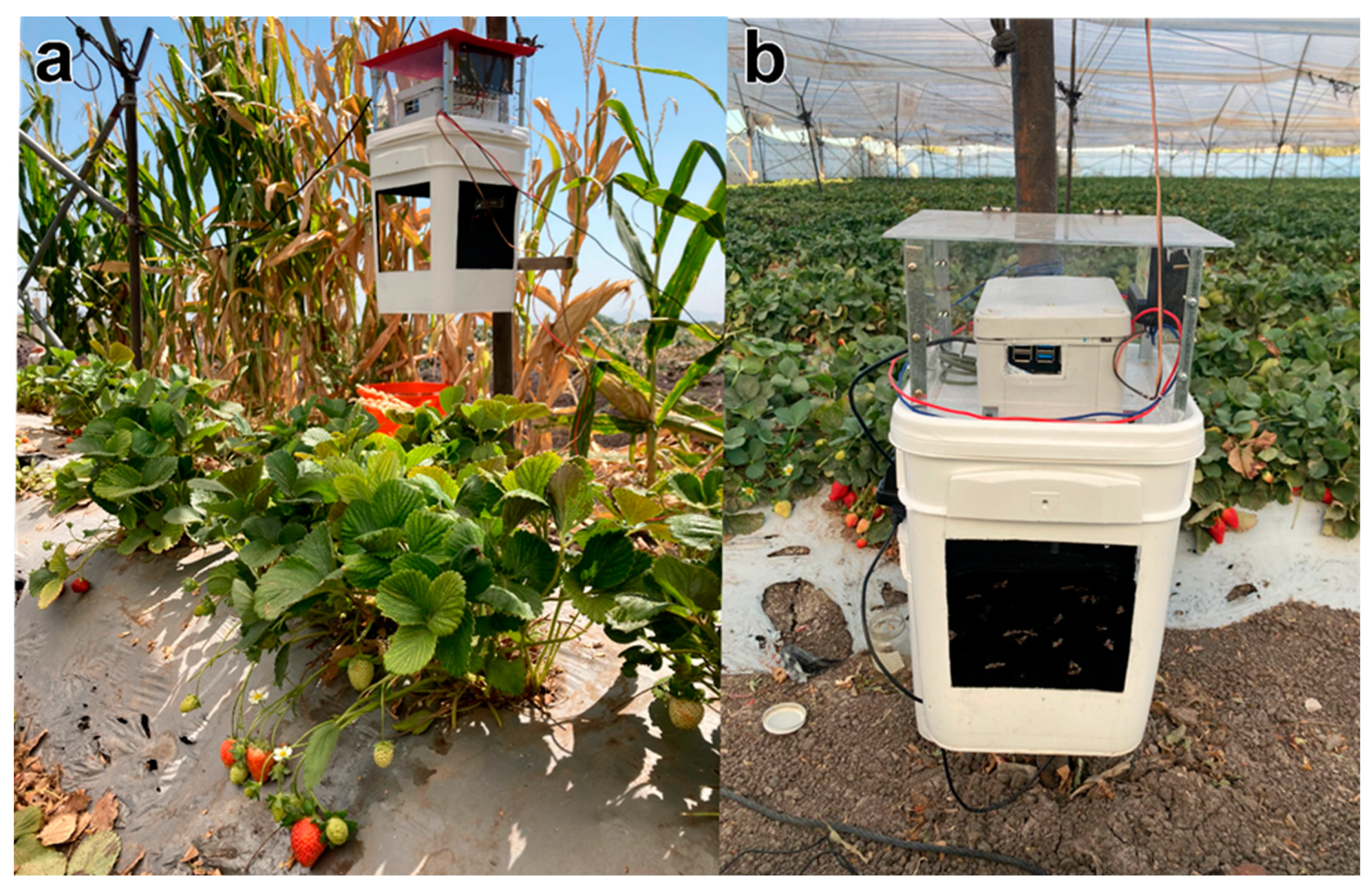 Agriengineering 06 00216 g005