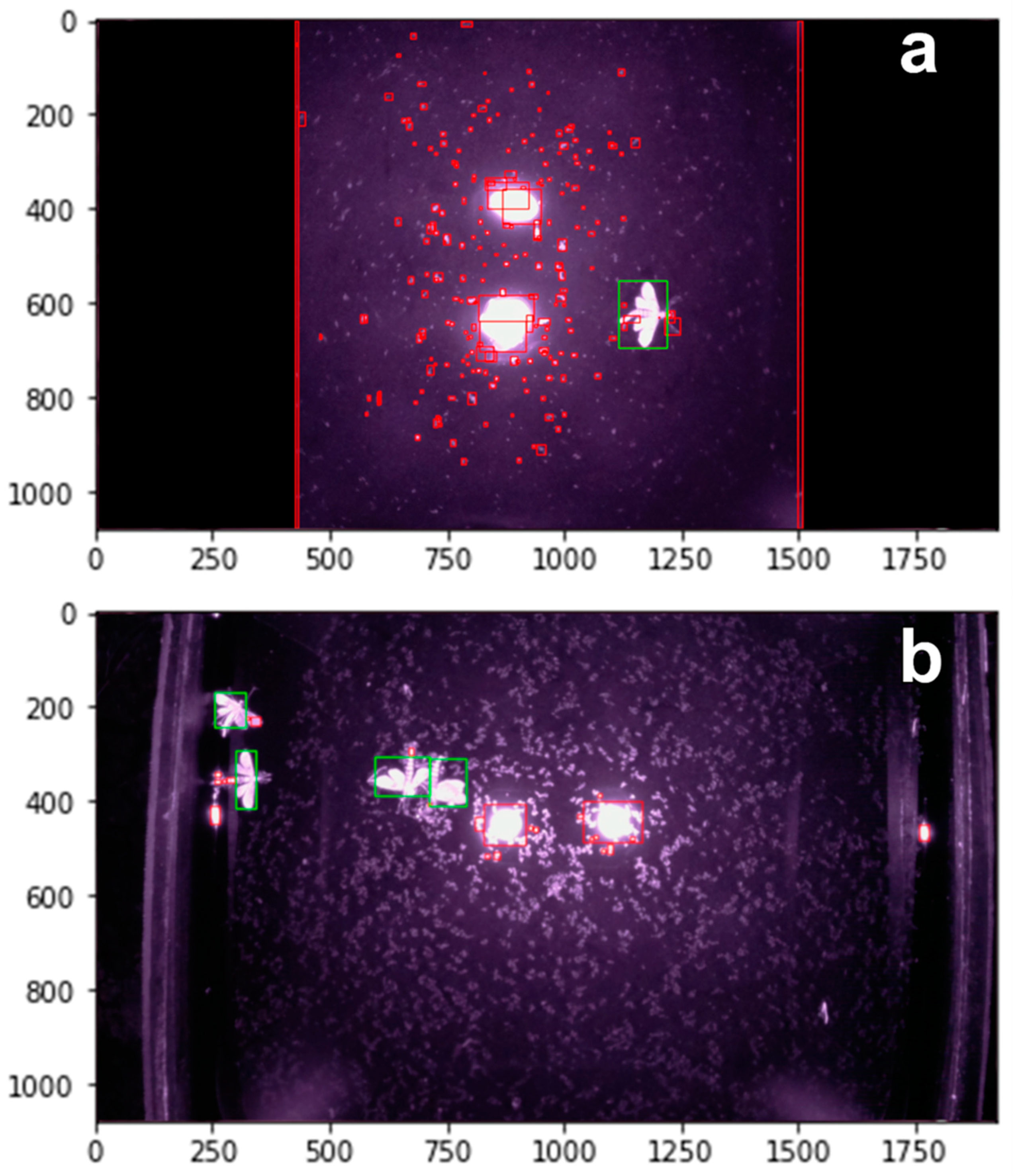 Agriengineering 06 00216 g008