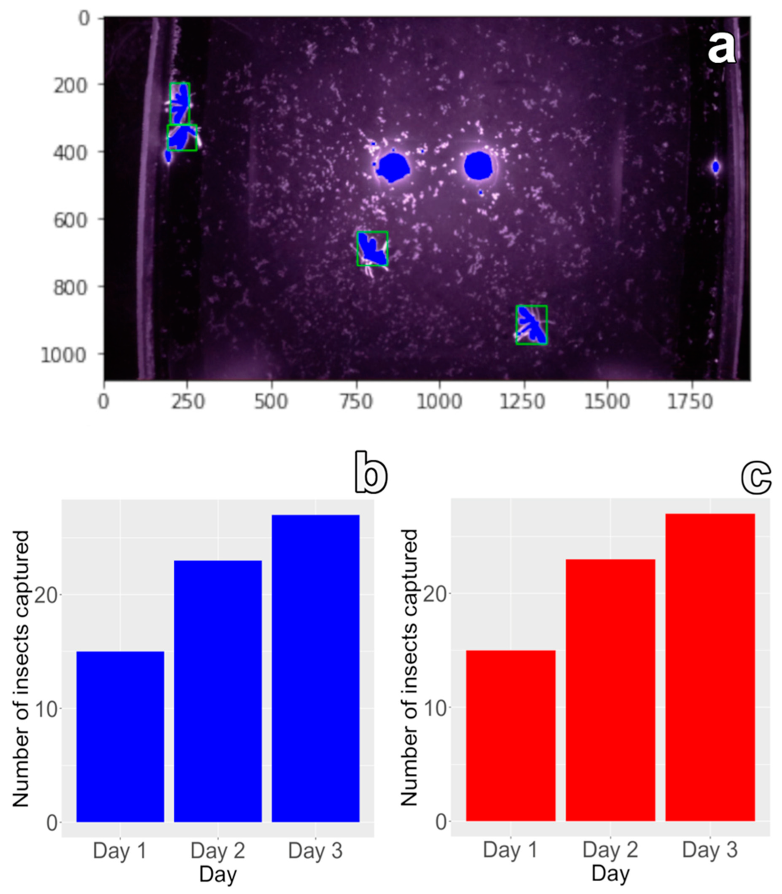 Agriengineering 06 00216 g009