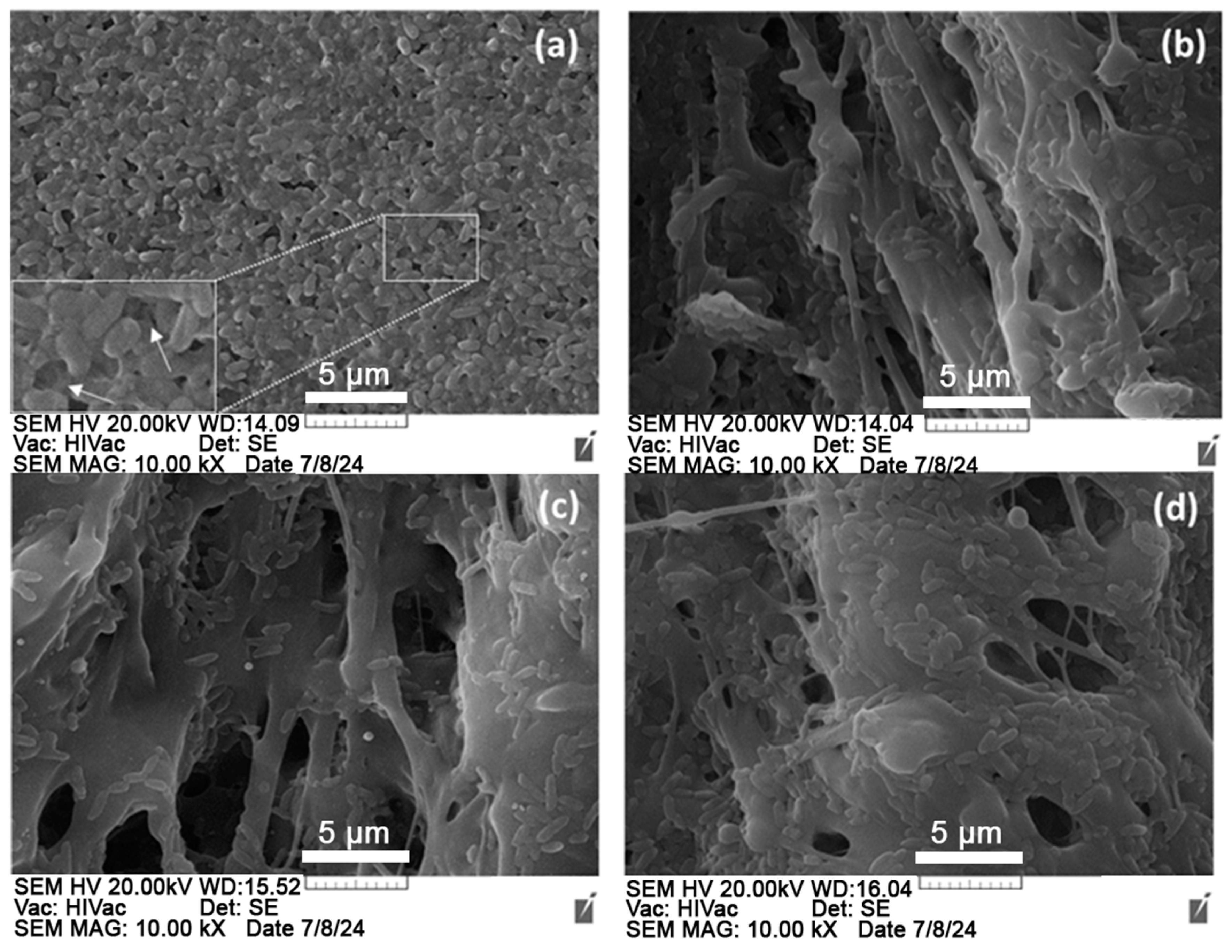 Agriengineering 06 00219 g012