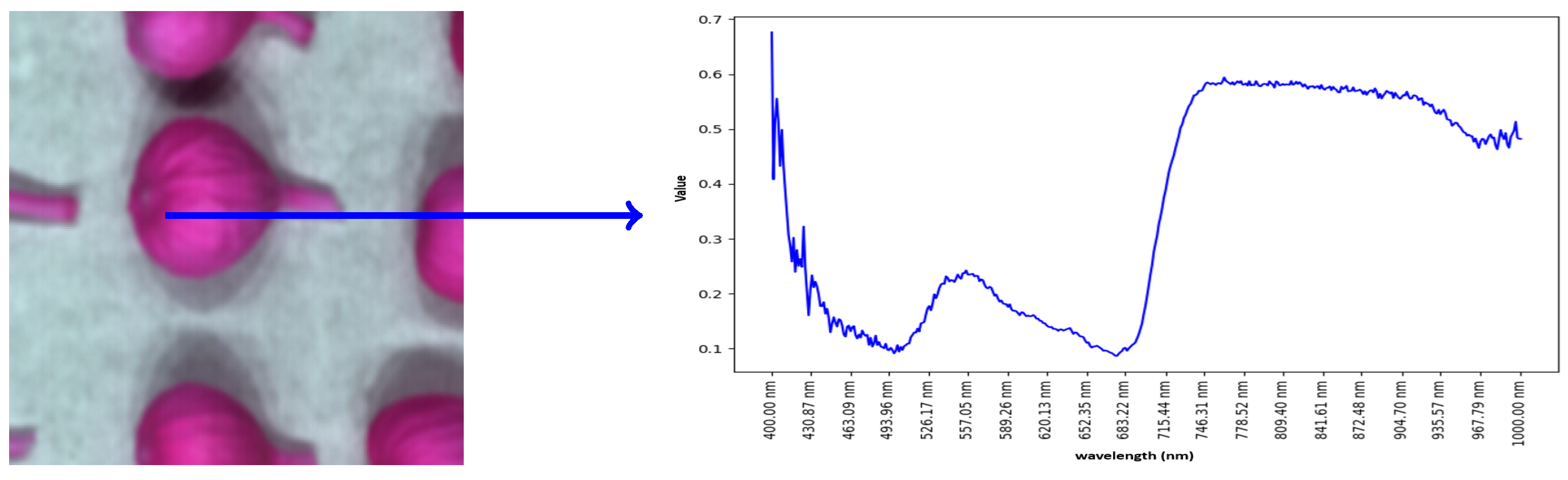 Agriengineering 06 00225 g003