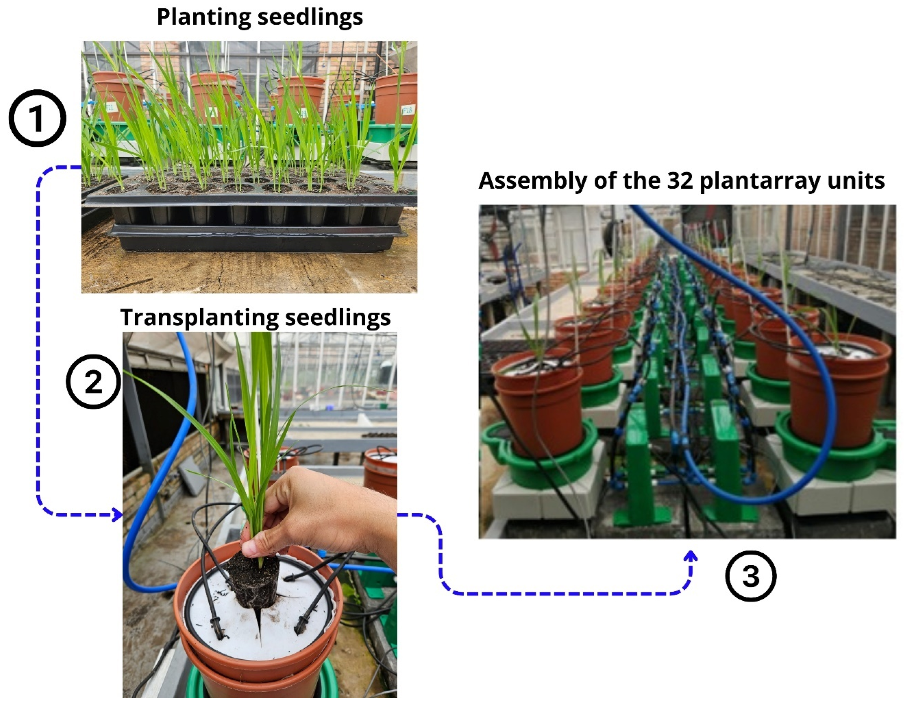 Agriengineering 06 00227 g005