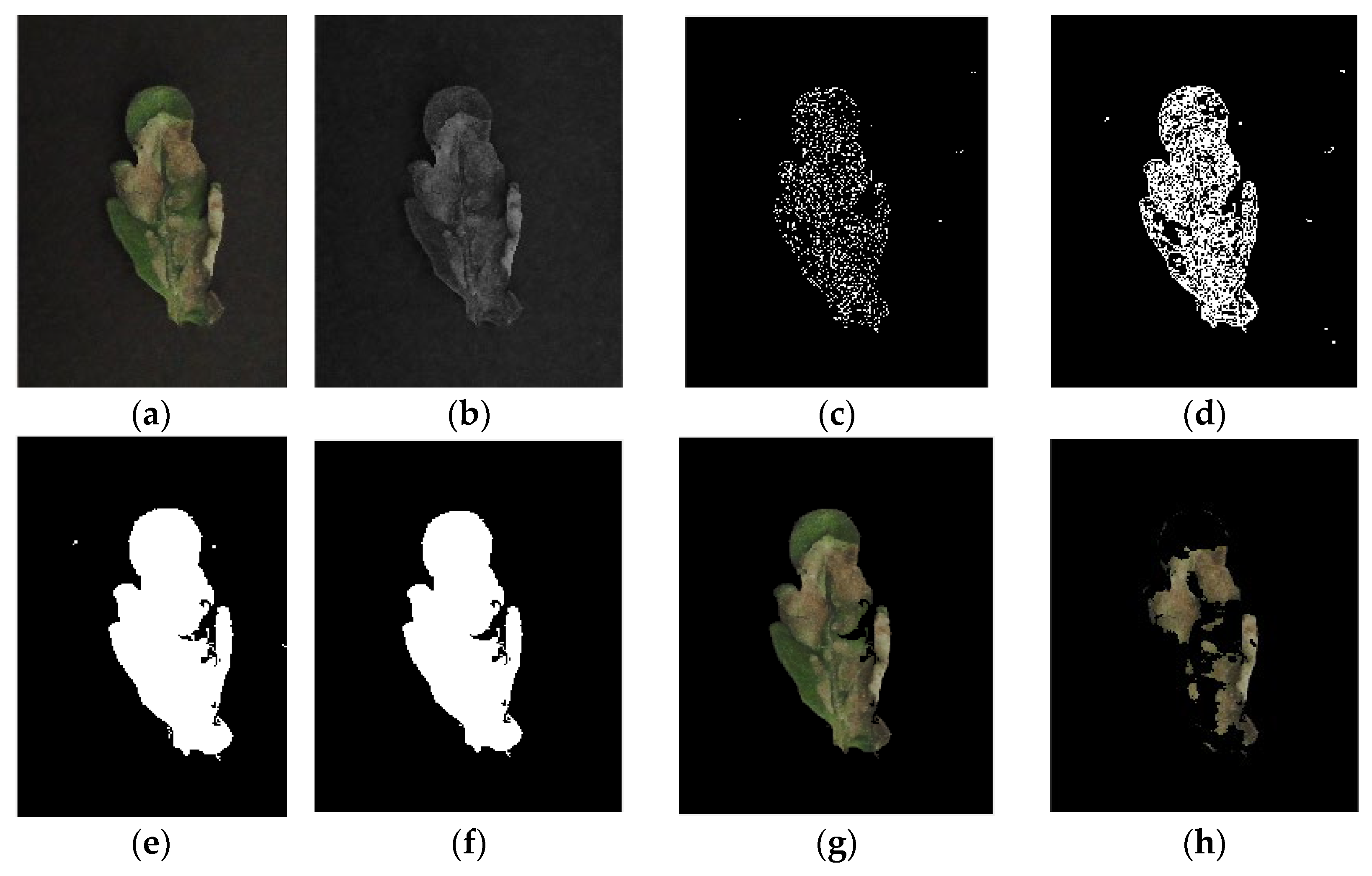 Agriengineering 06 00238 g002
