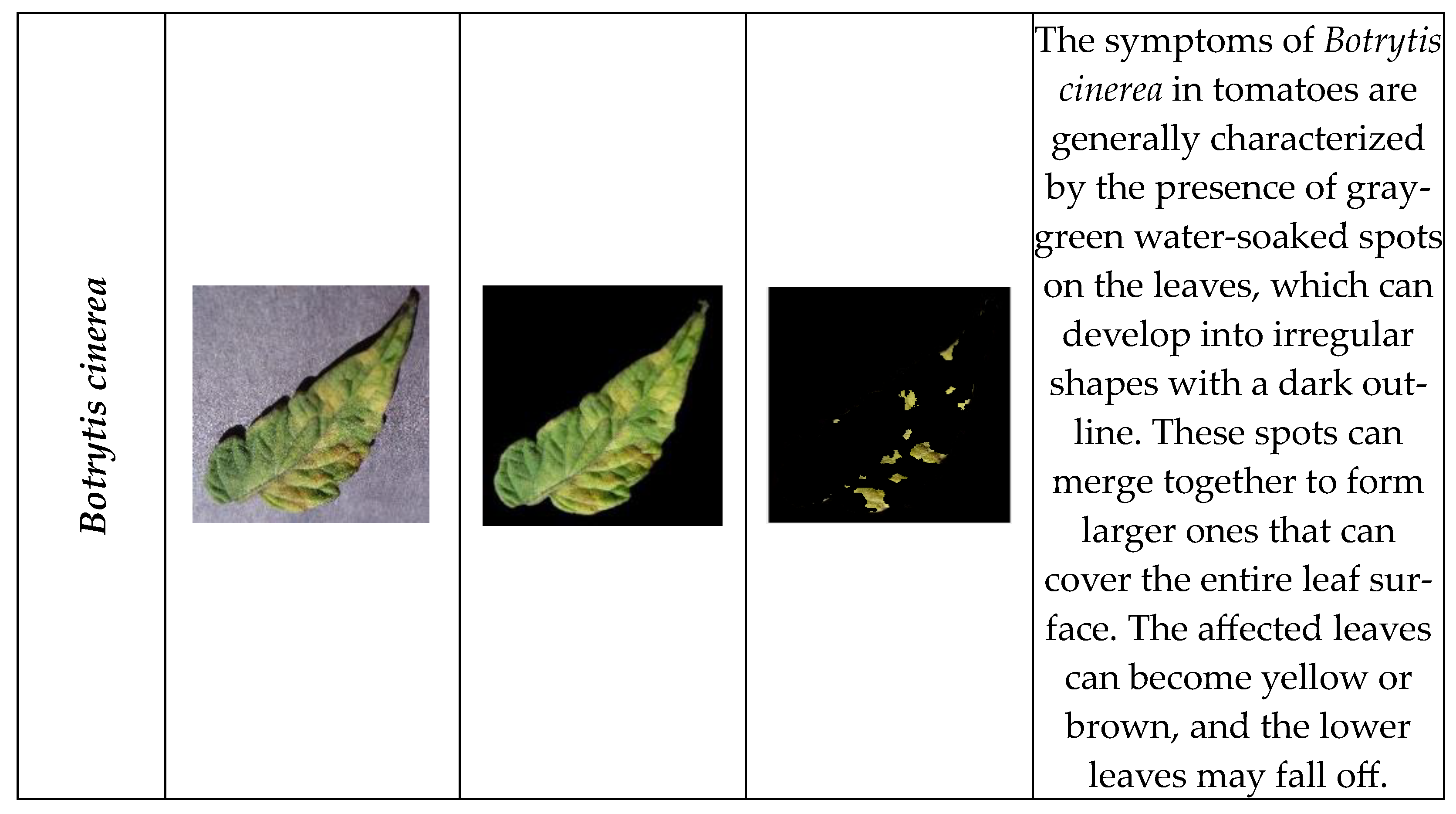 Agriengineering 06 00238 g003b