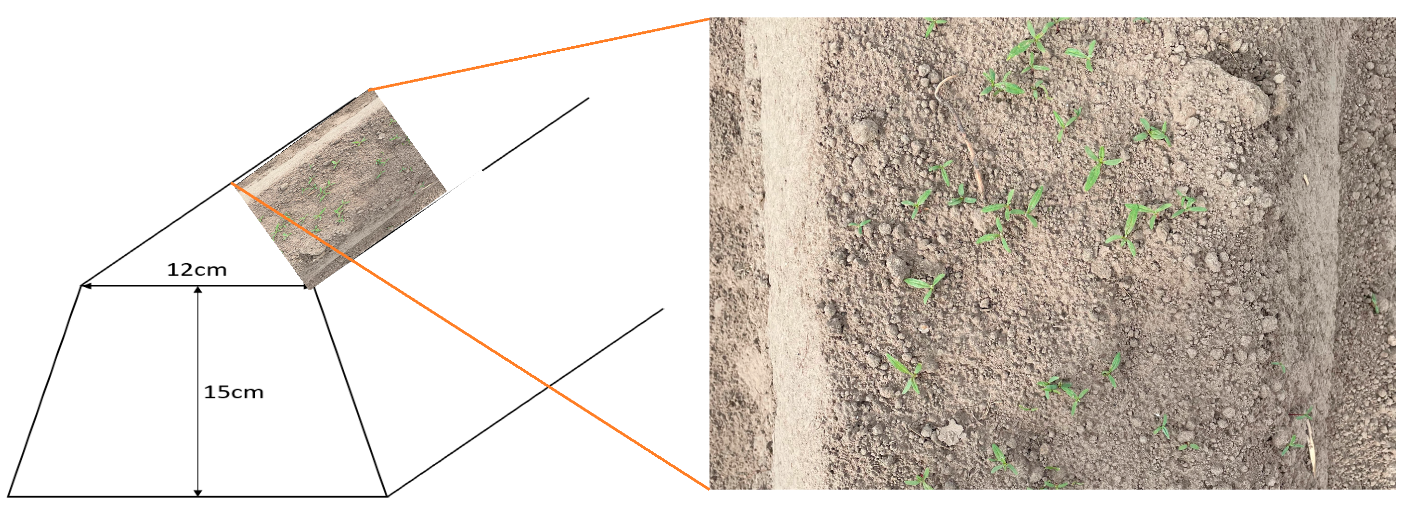 Agriengineering 06 00251 g002