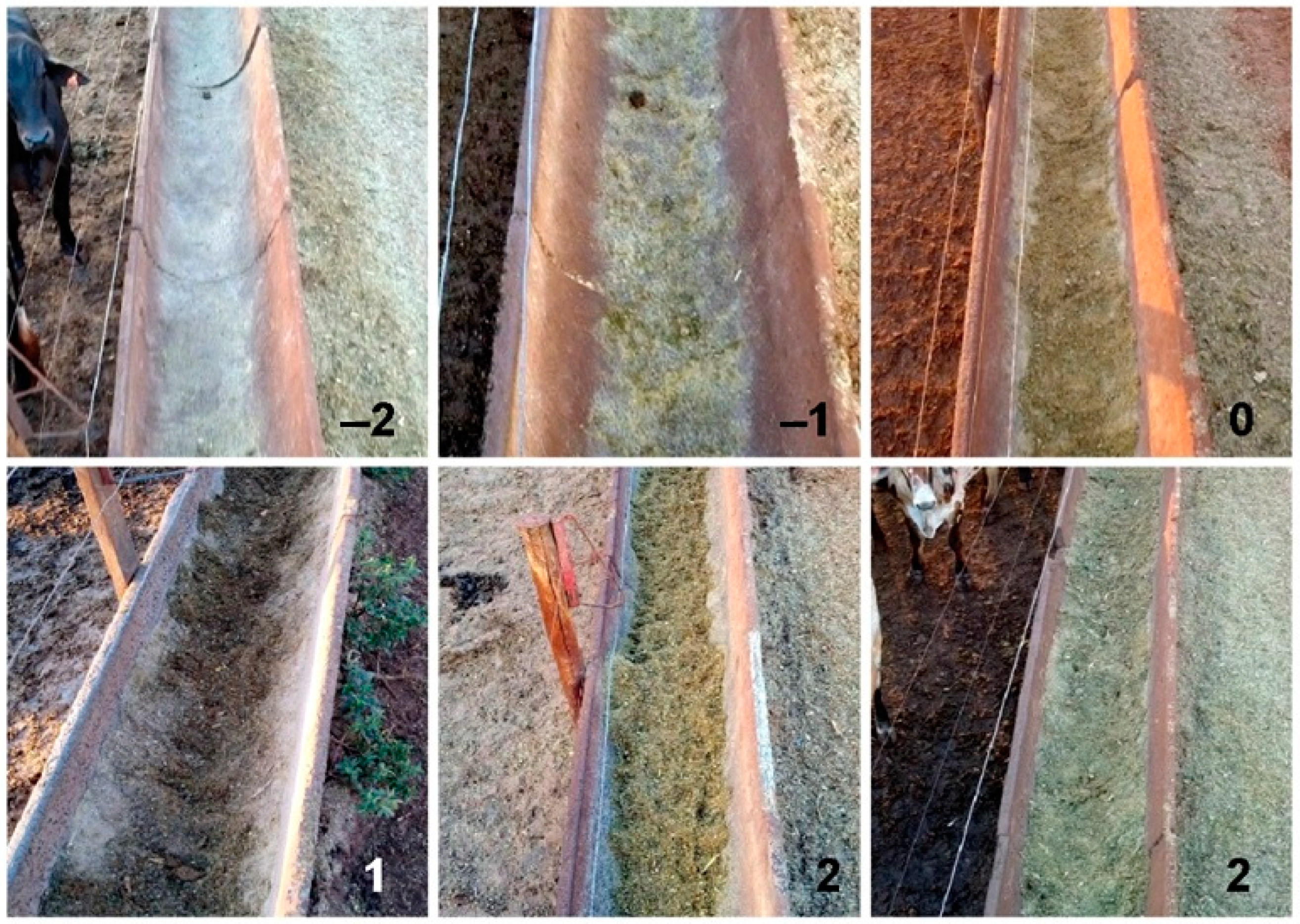 Agriengineering 06 00253 g001