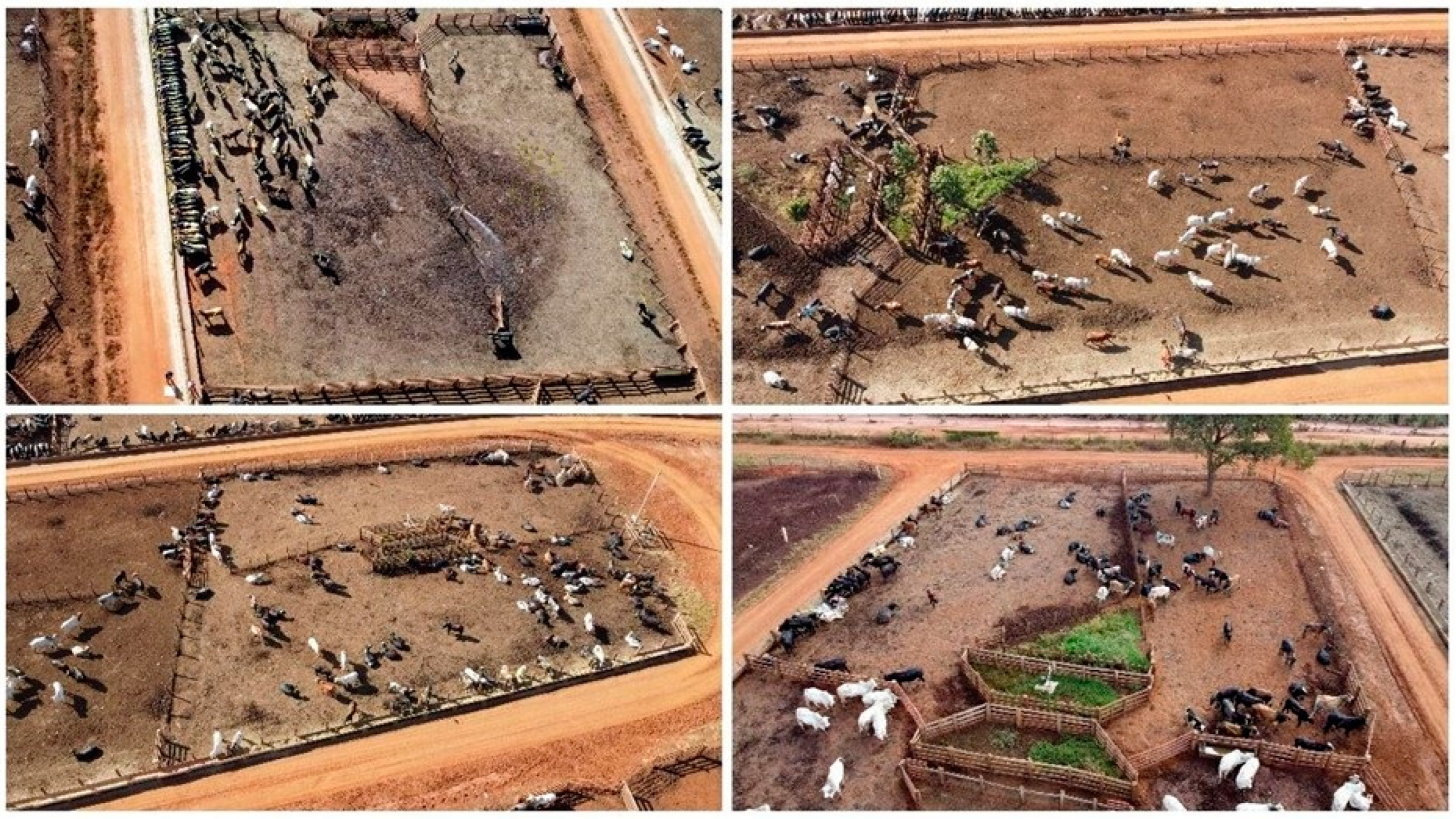 Agriengineering 06 00253 g002