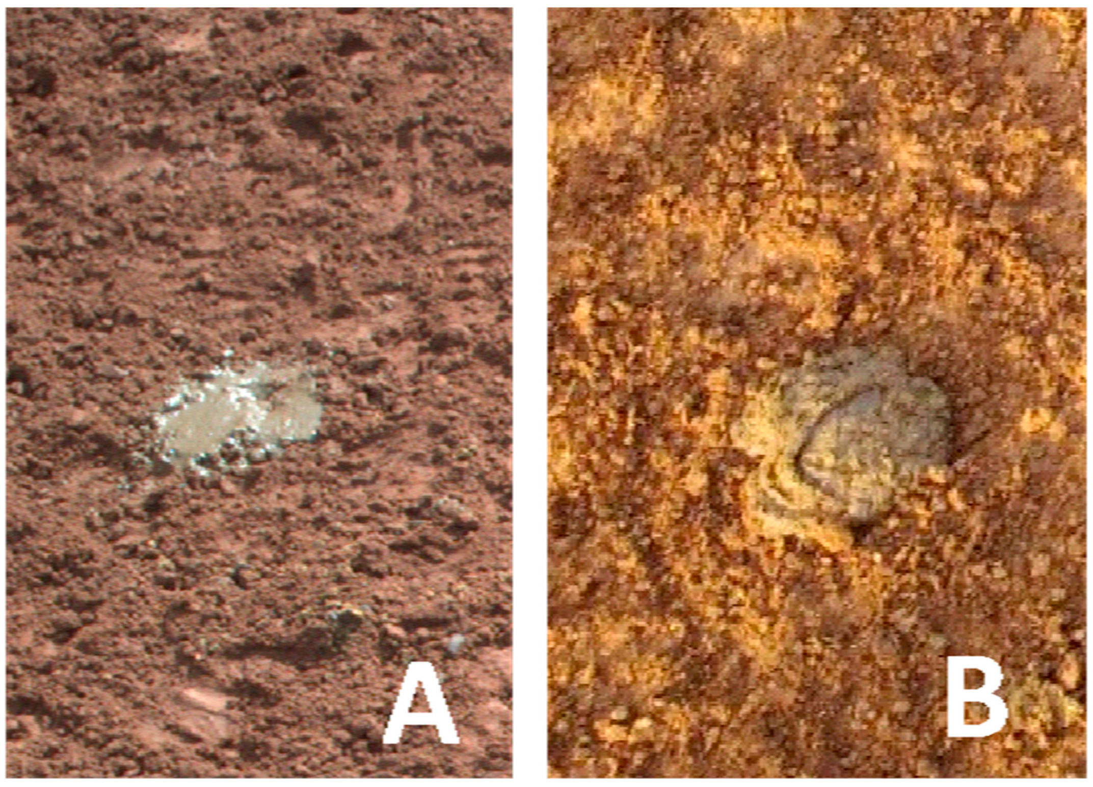 Agriengineering 06 00253 g003