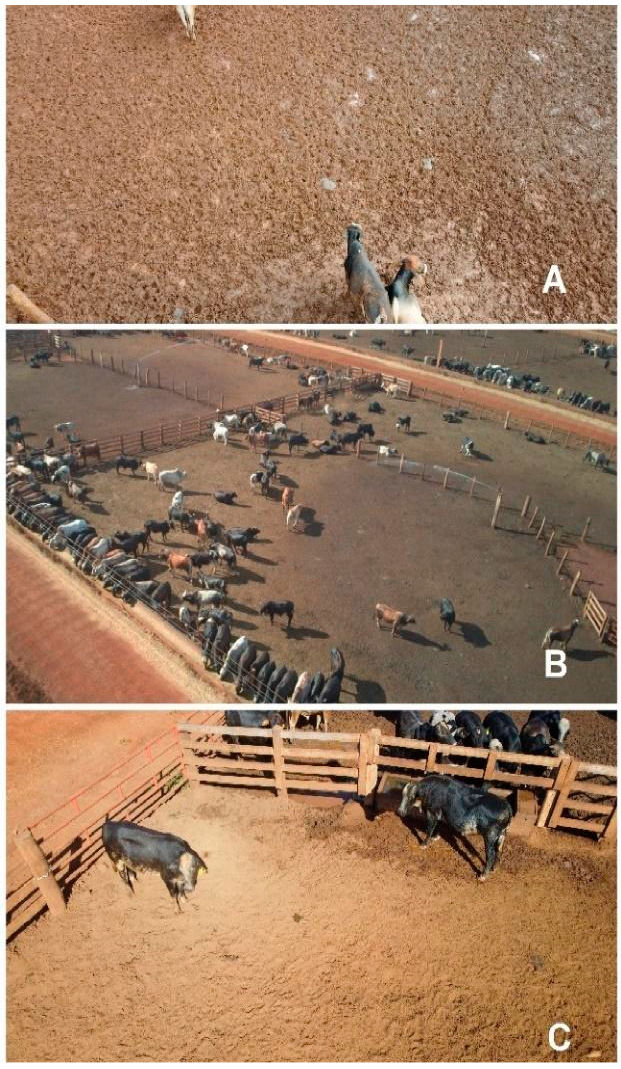 Agriengineering 06 00253 g005