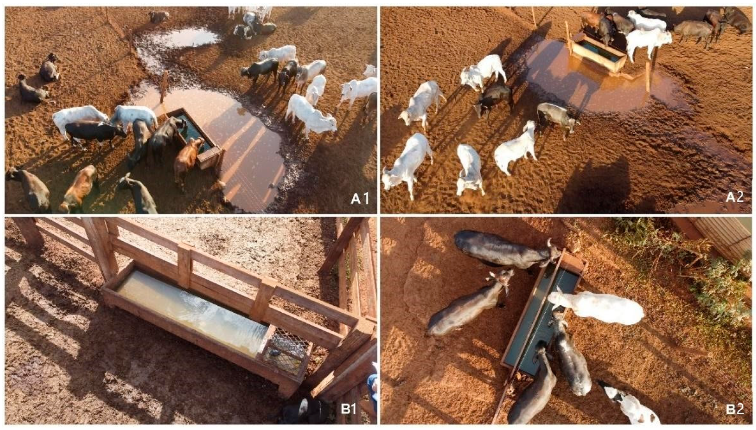 Agriengineering 06 00253 g006