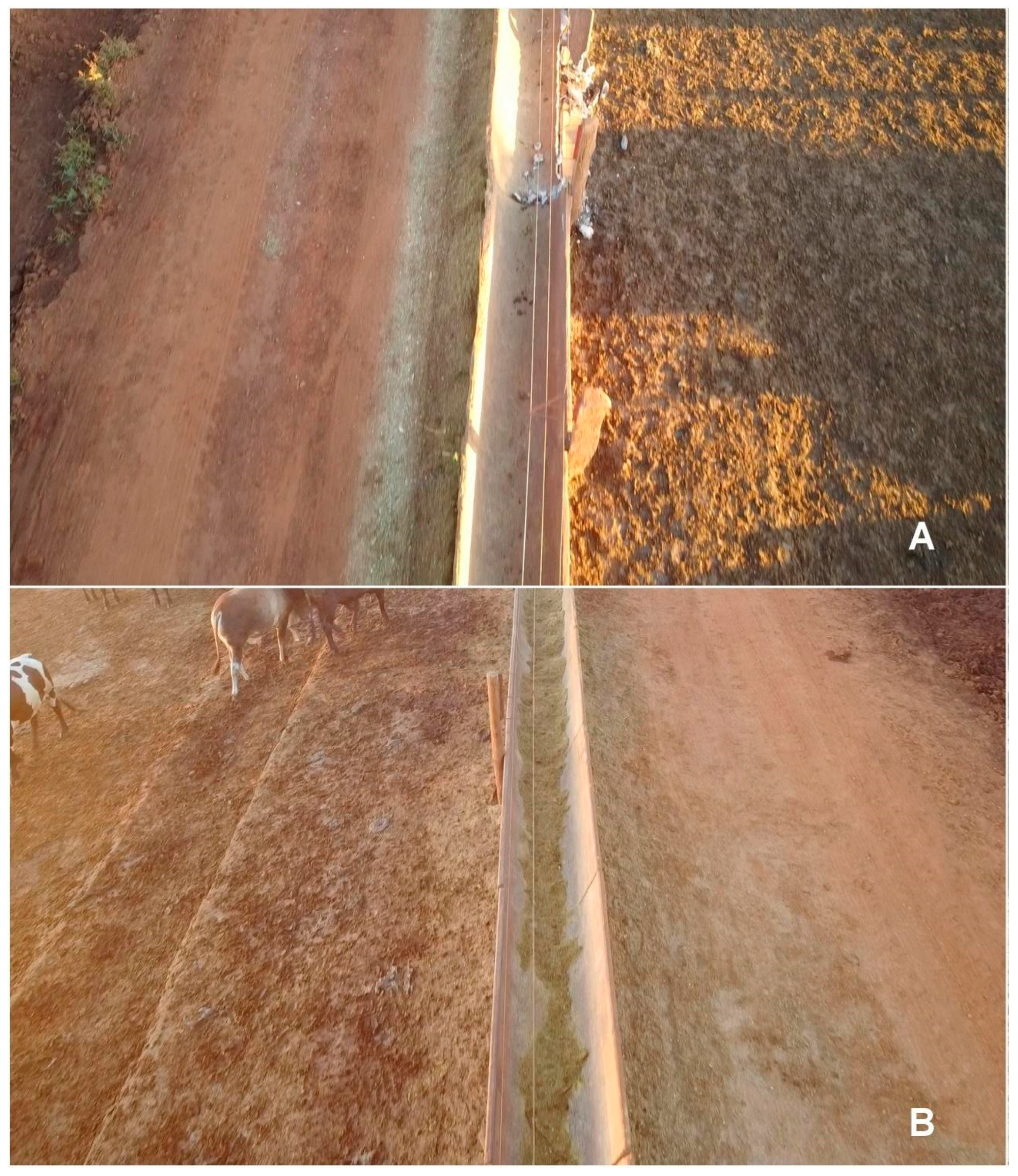 Agriengineering 06 00253 g007