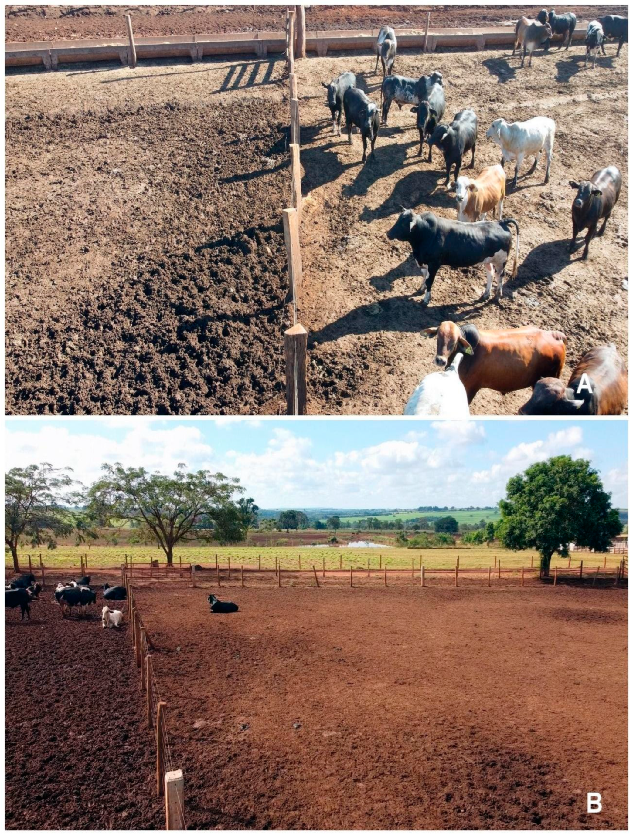 Agriengineering 06 00253 g008