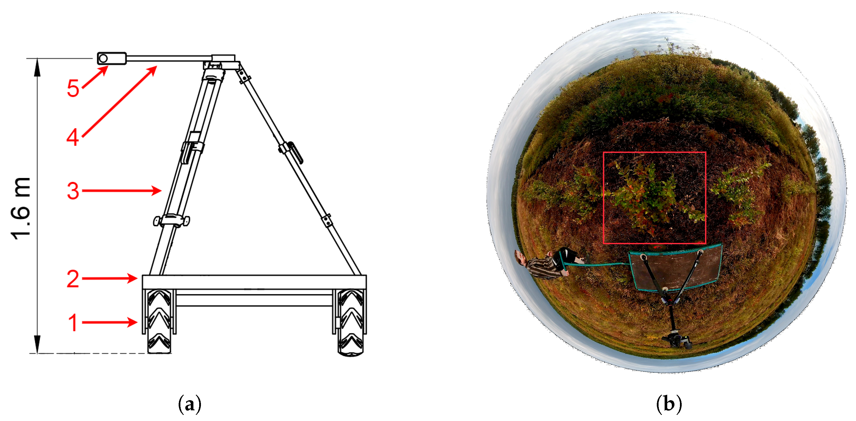 Agriengineering 06 00261 g003