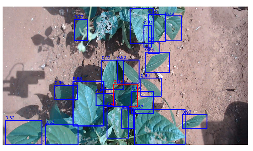 Agriengineering 06 00262 i033