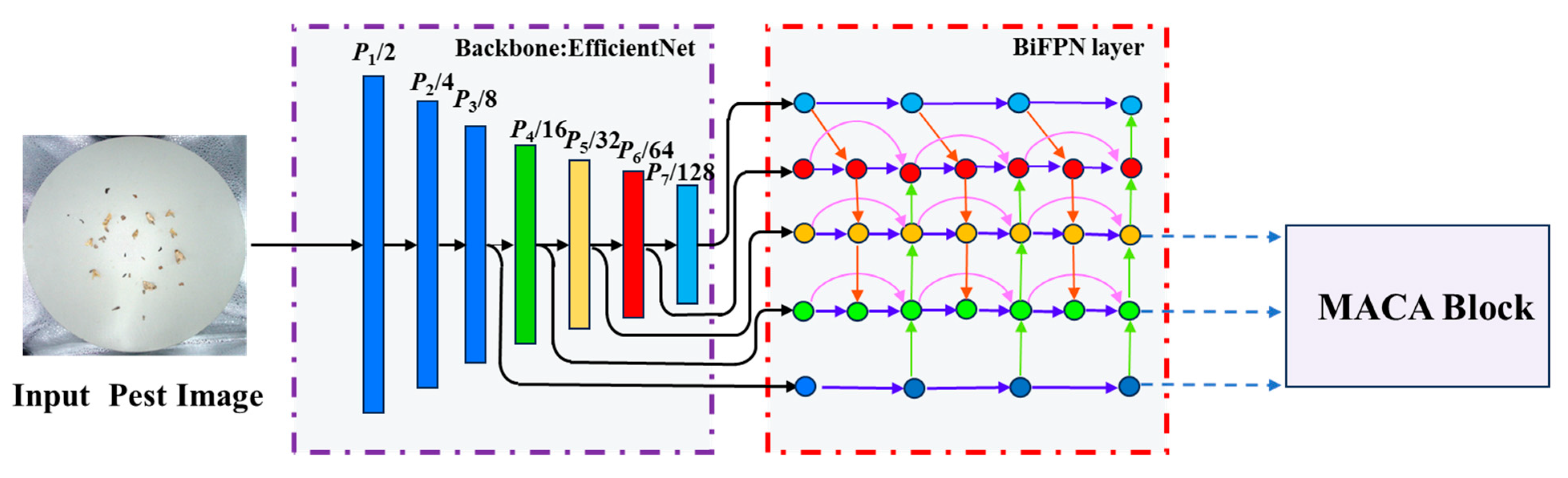 Agriengineering 06 00268 g005