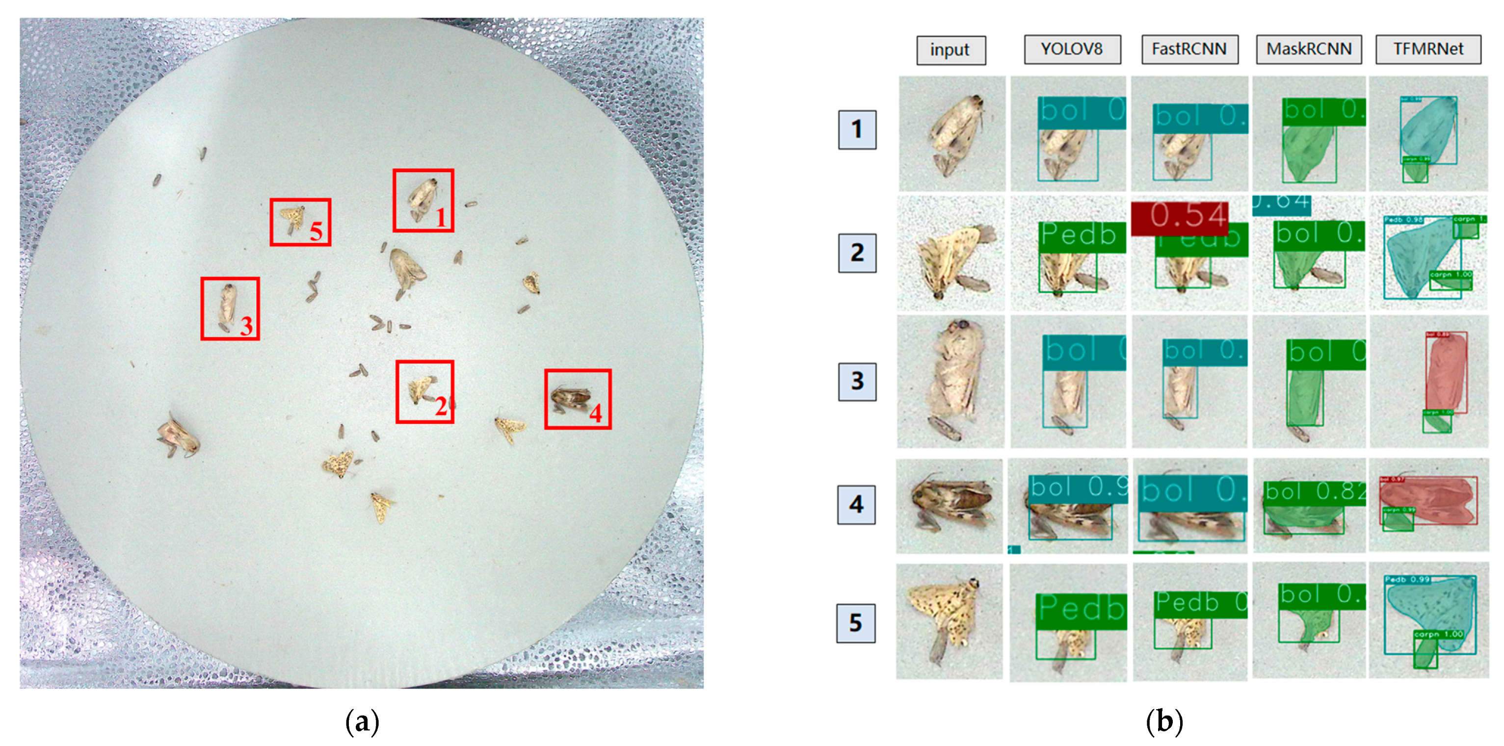 Agriengineering 06 00268 g009