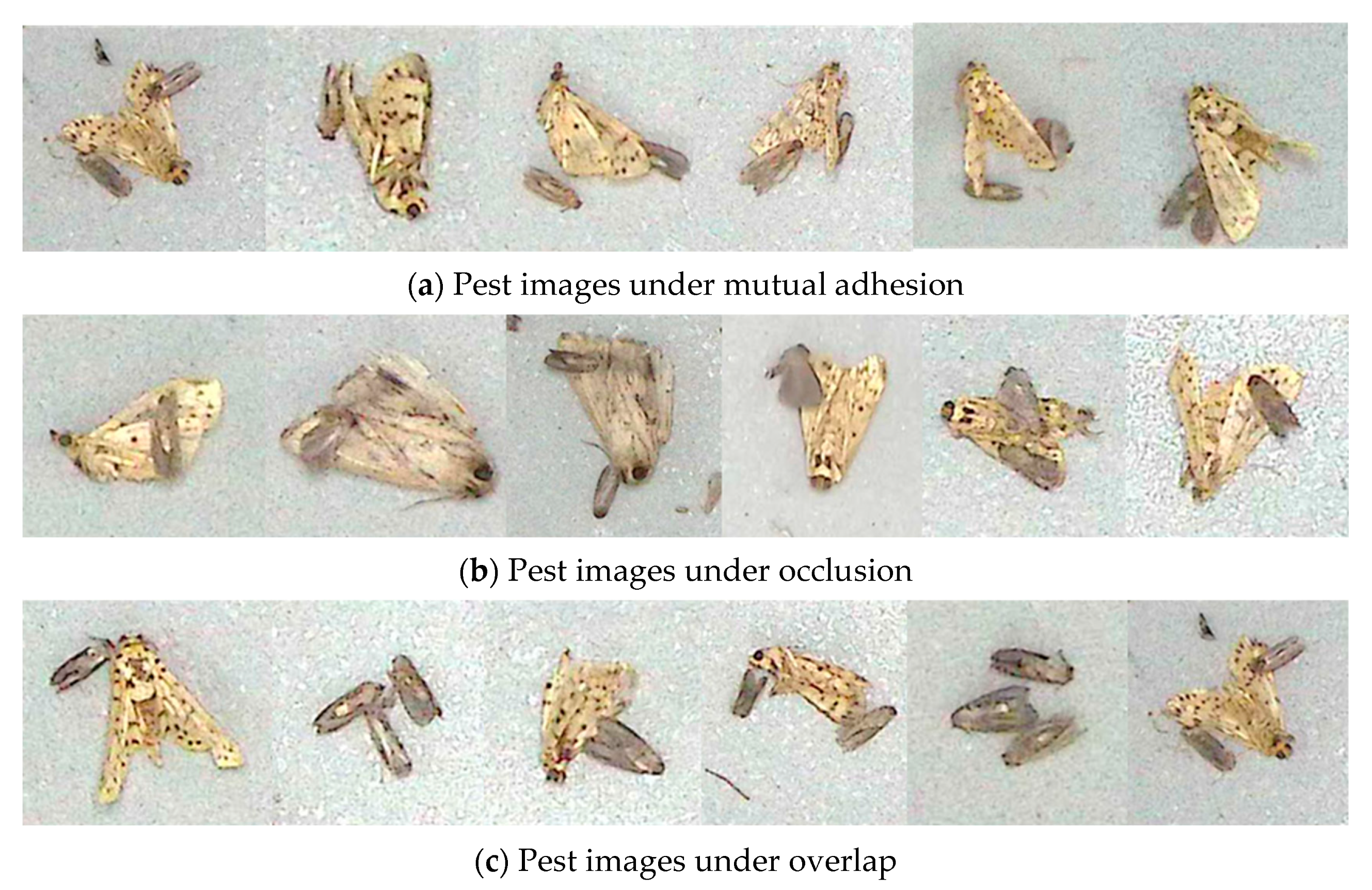 Agriengineering 06 00268 g011