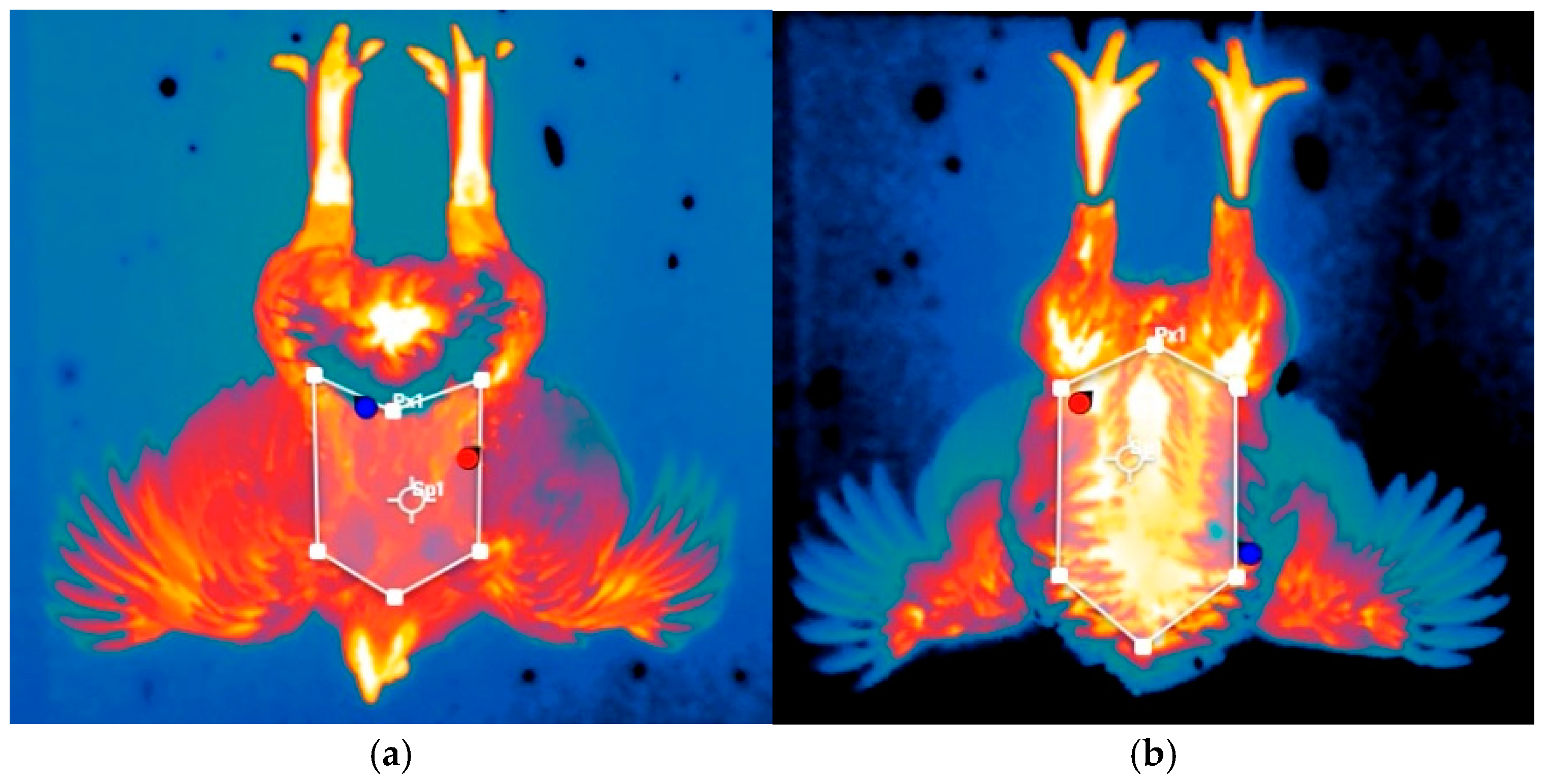 Agriengineering 06 00271 g001