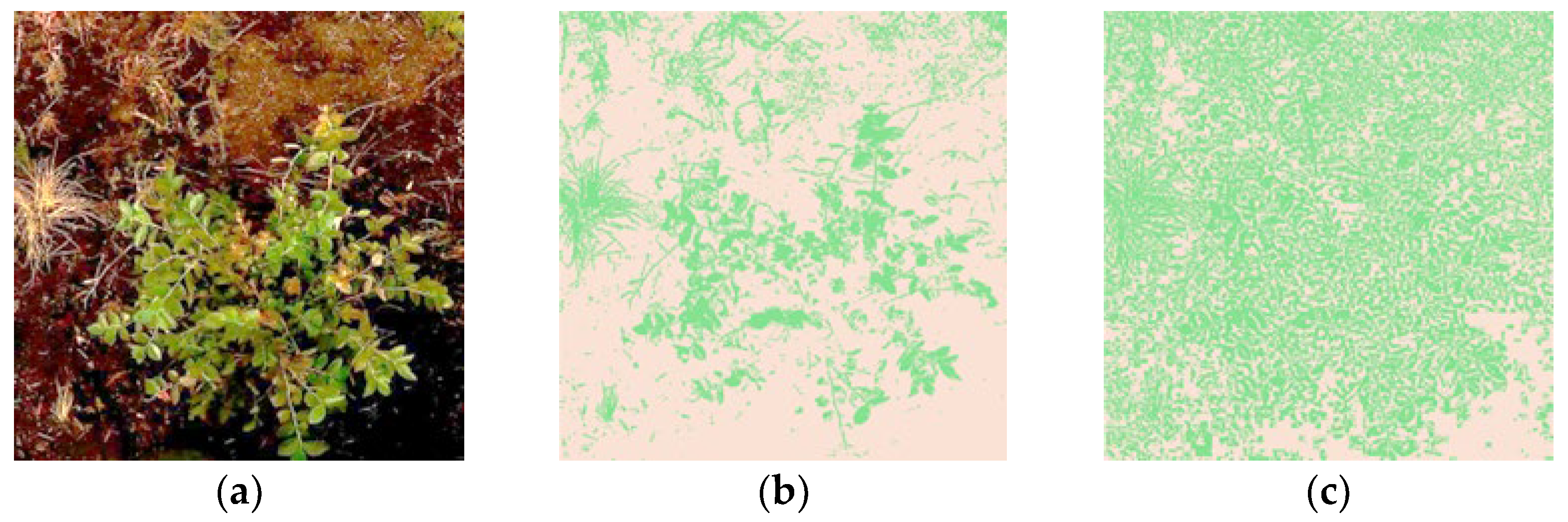 Agriengineering 06 00276 g005